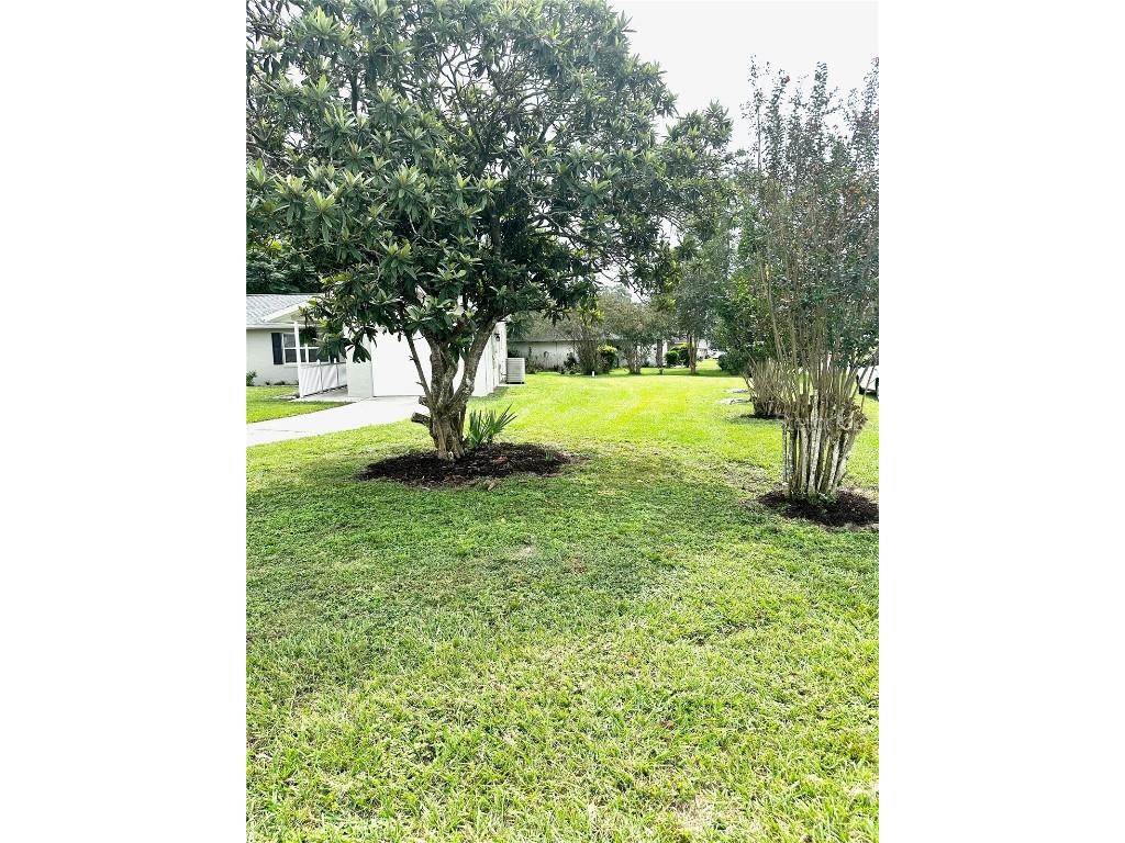 6066 SE 122nd Lane Belleview FL 34420 OM709788 image20