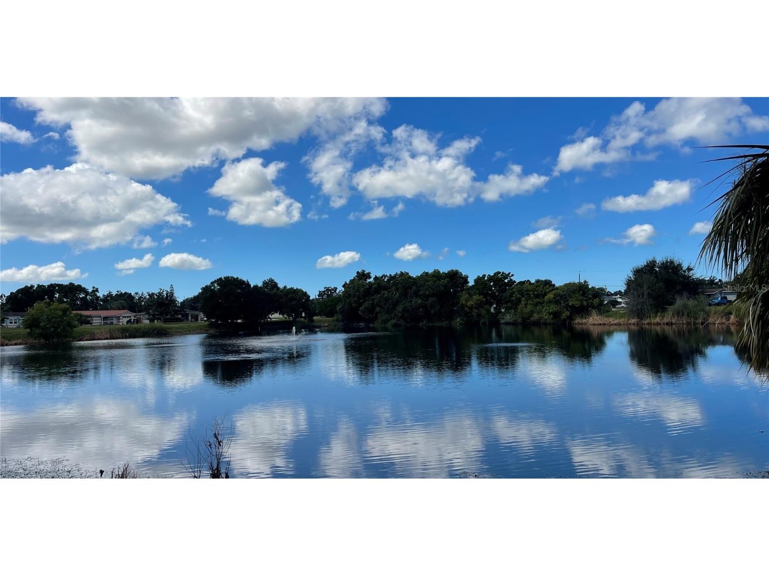 6067 43rd Terrace N Kenneth City FL 33709 TB8432246 image26