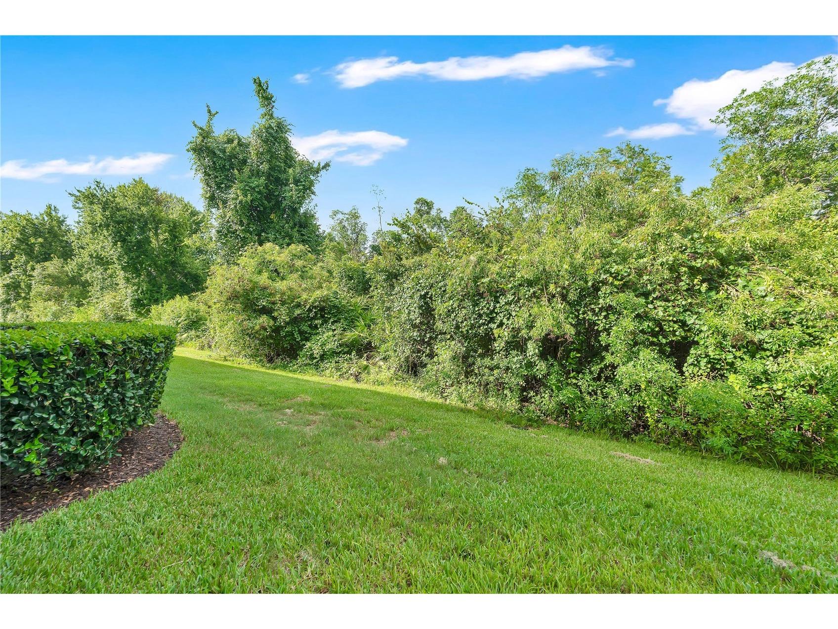 6067 Apollos Corner Way Orlando FL 32829 O6423058 image20