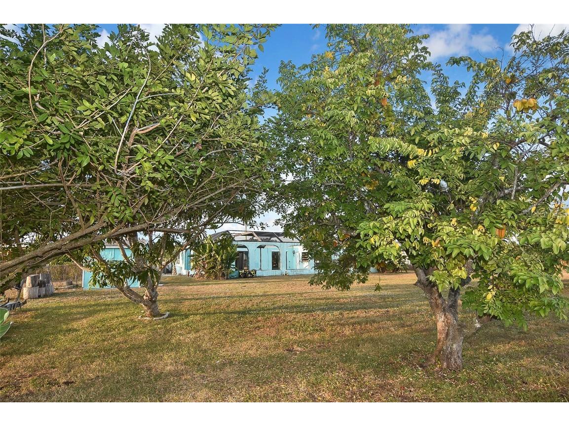 6067 Merril Street North Port FL 34287 A4673786 image23