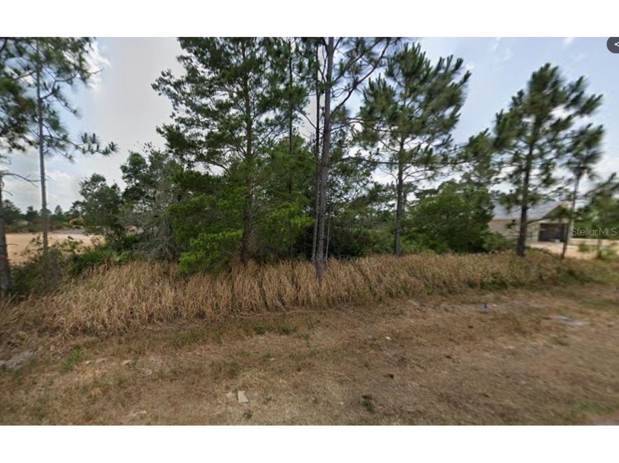 6067 Michelangelo Street Sebring FL 33872 A4674417 image6