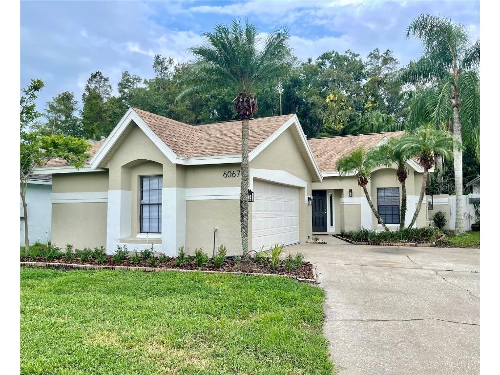 6067 Parkview Point Drive Orlando FL 32821 O6232488 image1