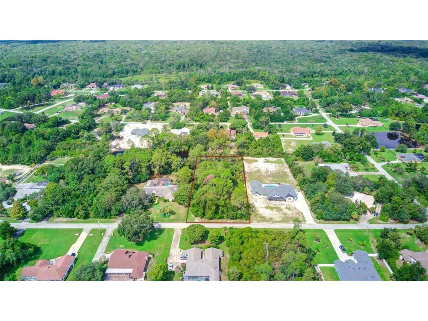 6067 Patricia Place Weeki Wachee FL 34607 W7880787 image1