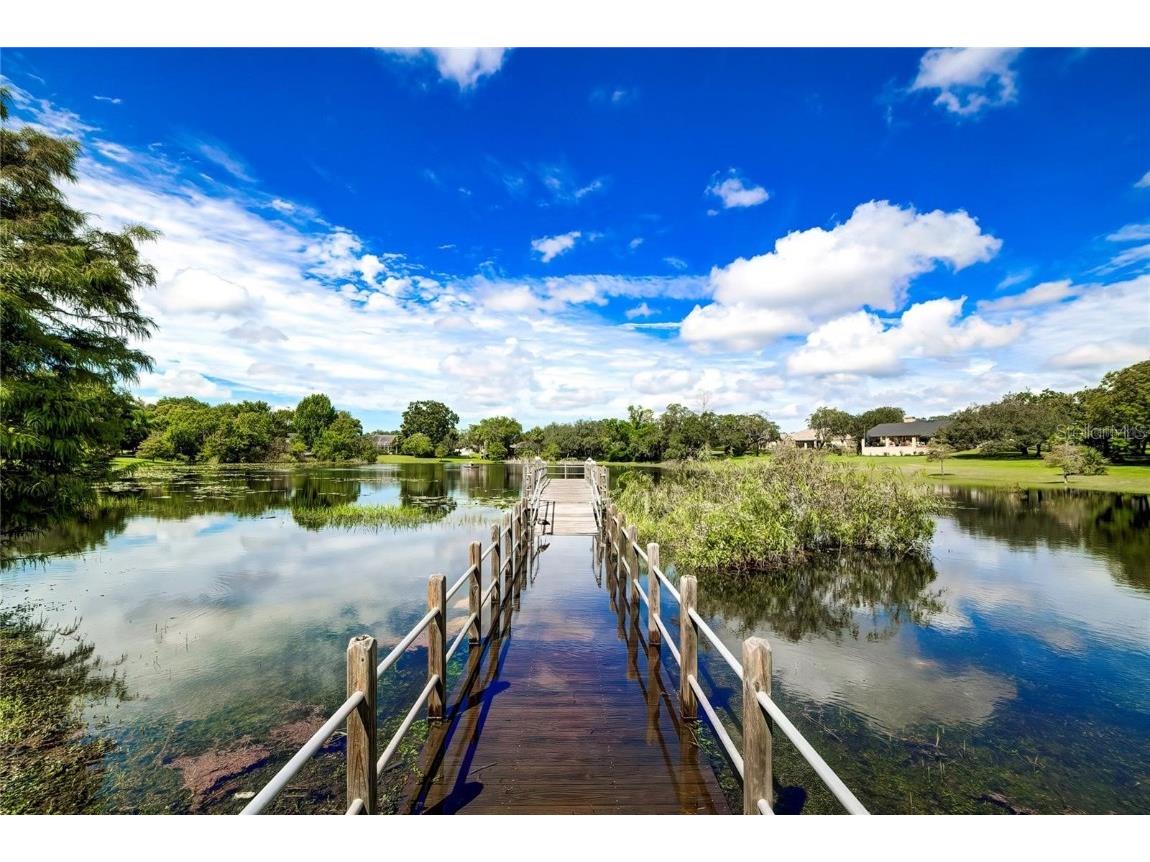 6067 Patricia Place Weeki Wachee FL 34607 W7880787 image10