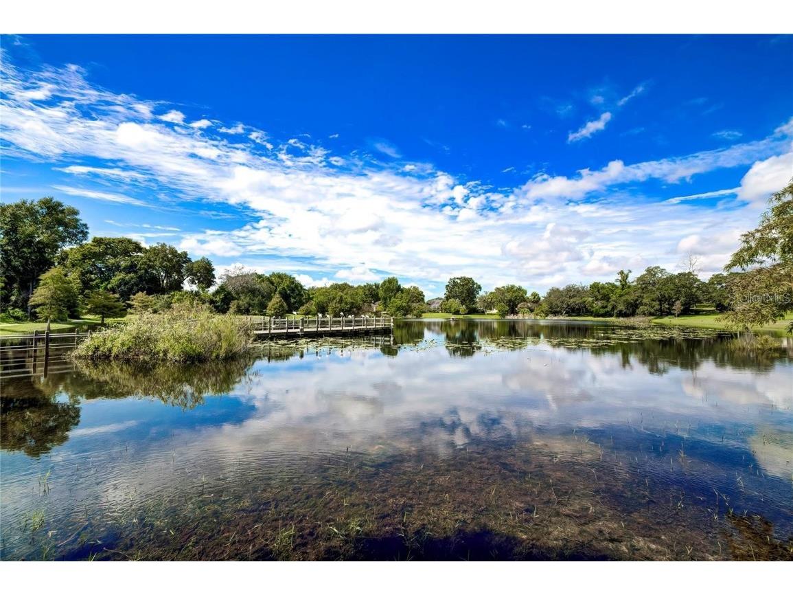 6067 Patricia Place Weeki Wachee FL 34607 W7880787 image11