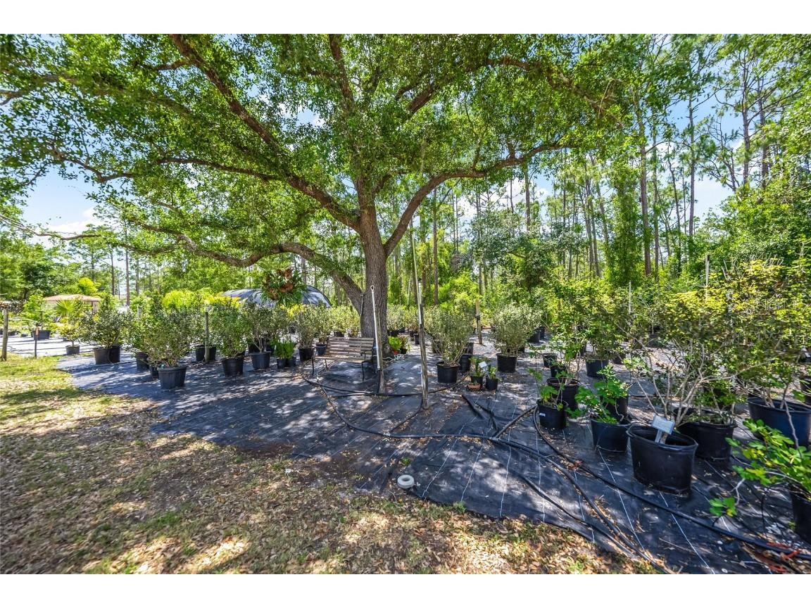 6068 Ruff Street North Port FL 34291 A4648319 image25