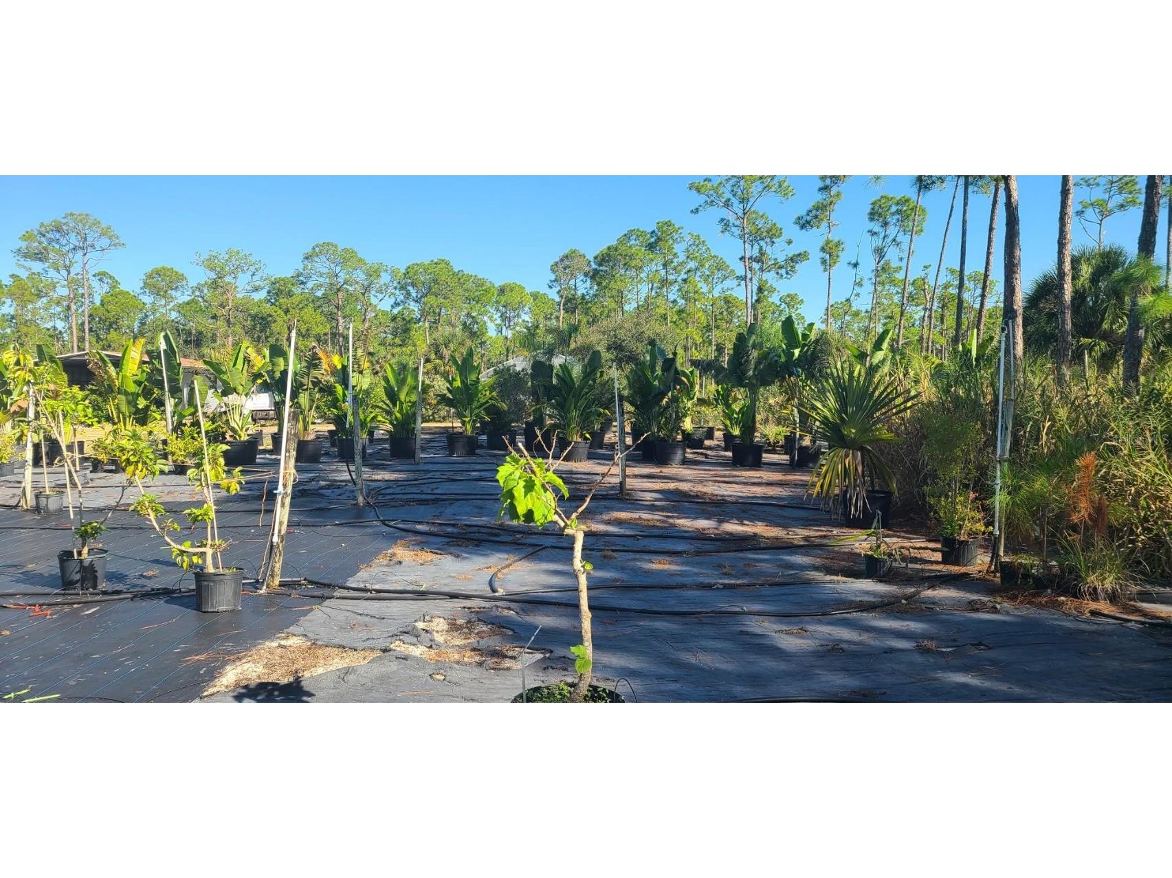 6068 Ruff Street North Port FL 34291 A4648319 image65