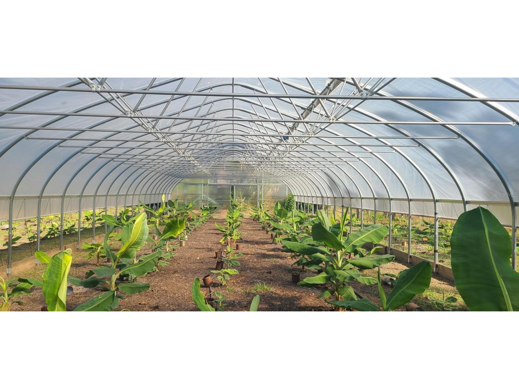 6068 Ruff Street North Port FL 34291 A4648319 image66