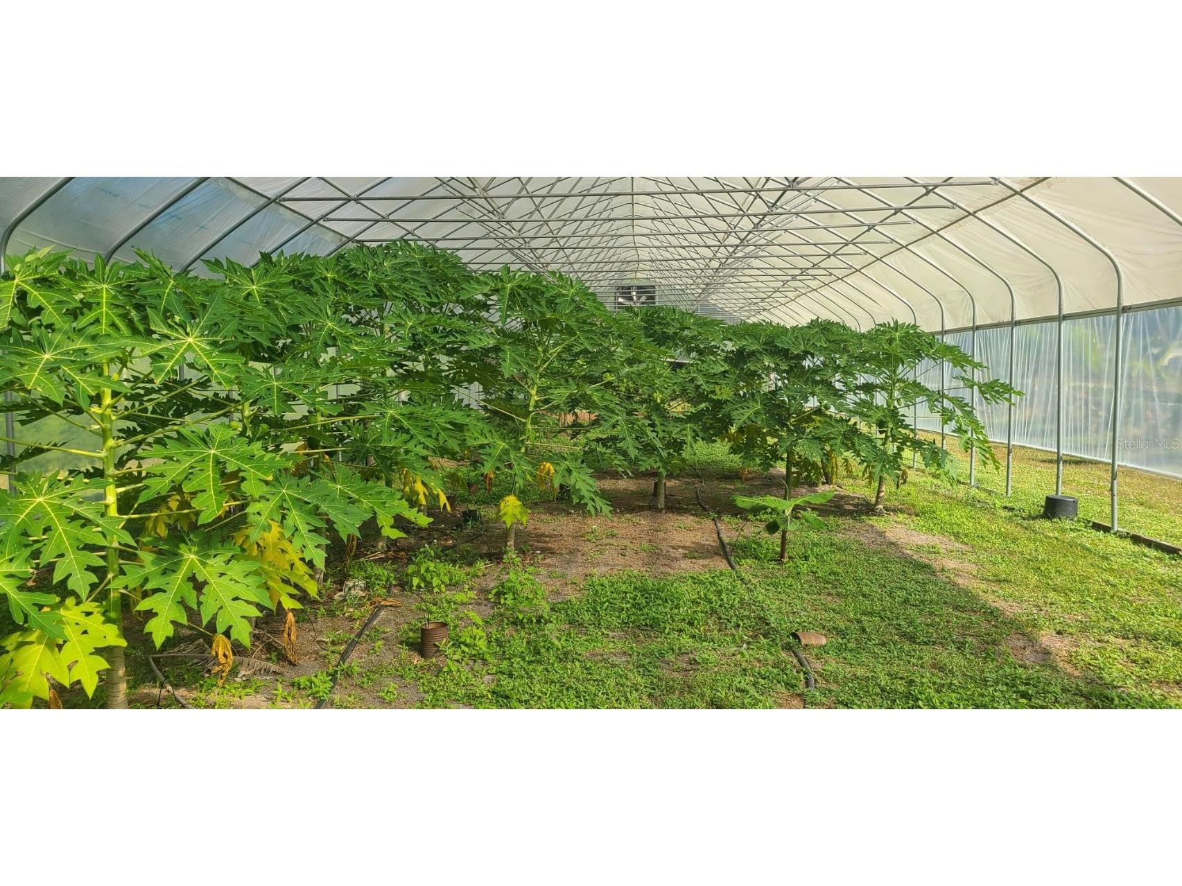 6068 Ruff Street North Port FL 34291 A4648319 image67