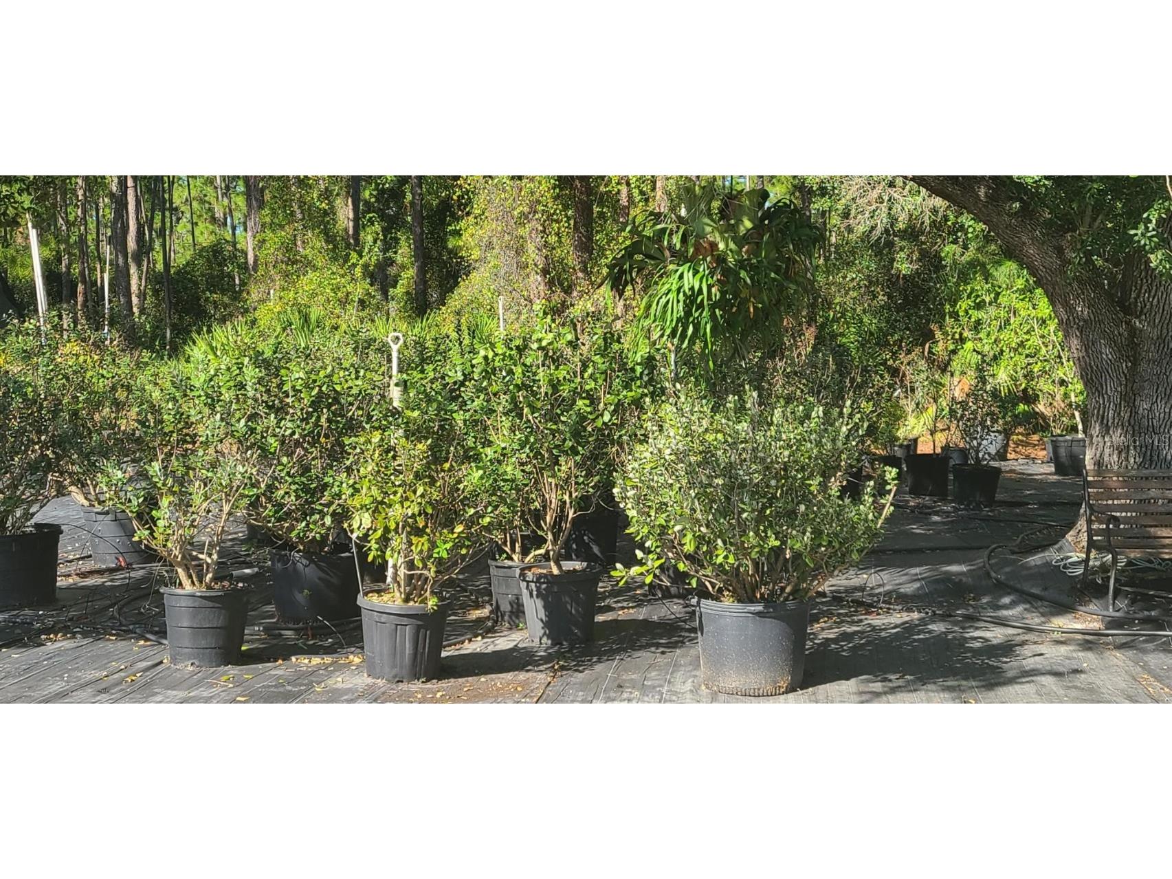 6068 Ruff Street North Port FL 34291 A4648319 image70