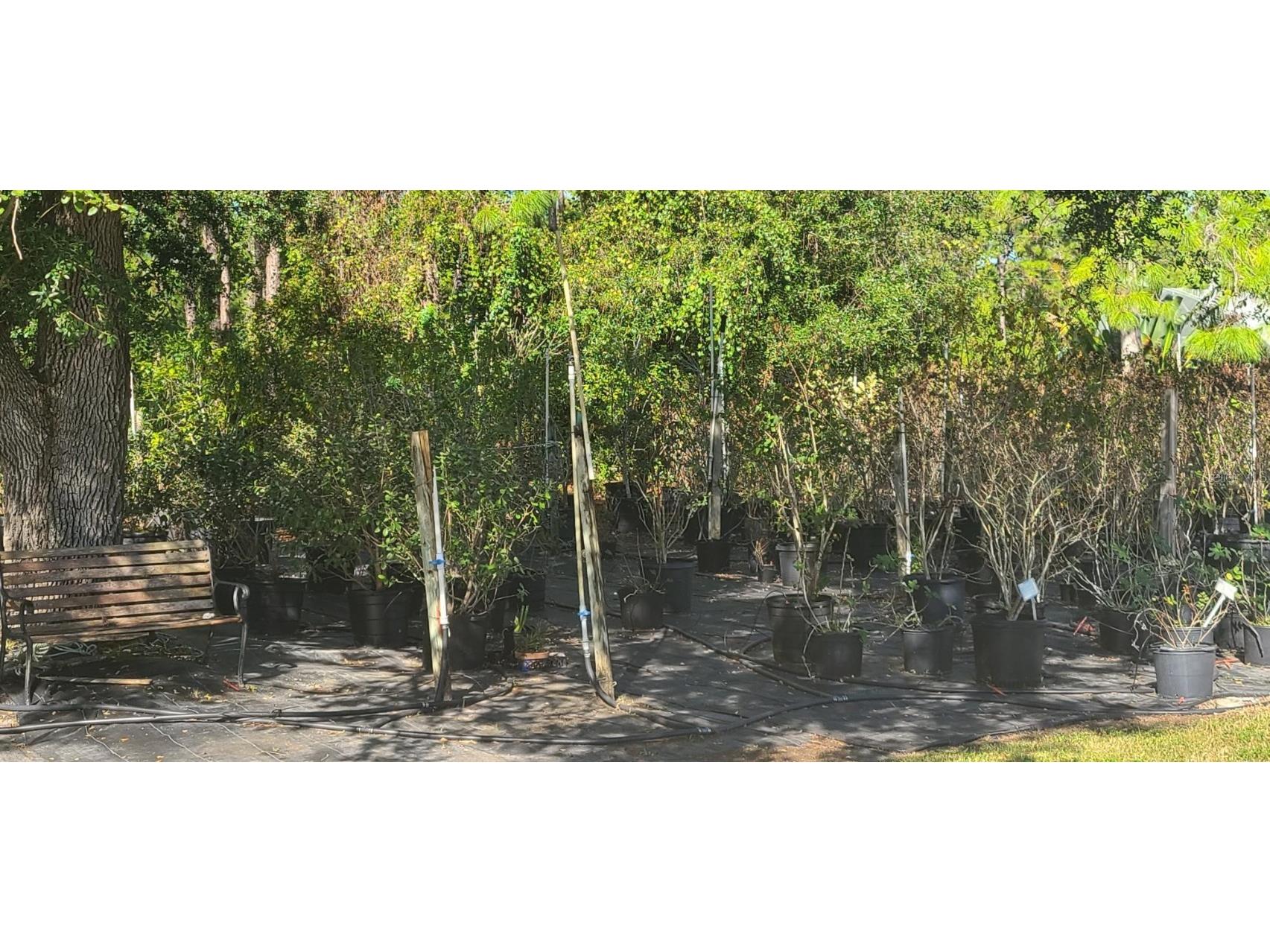 6068 Ruff Street North Port FL 34291 A4648319 image71