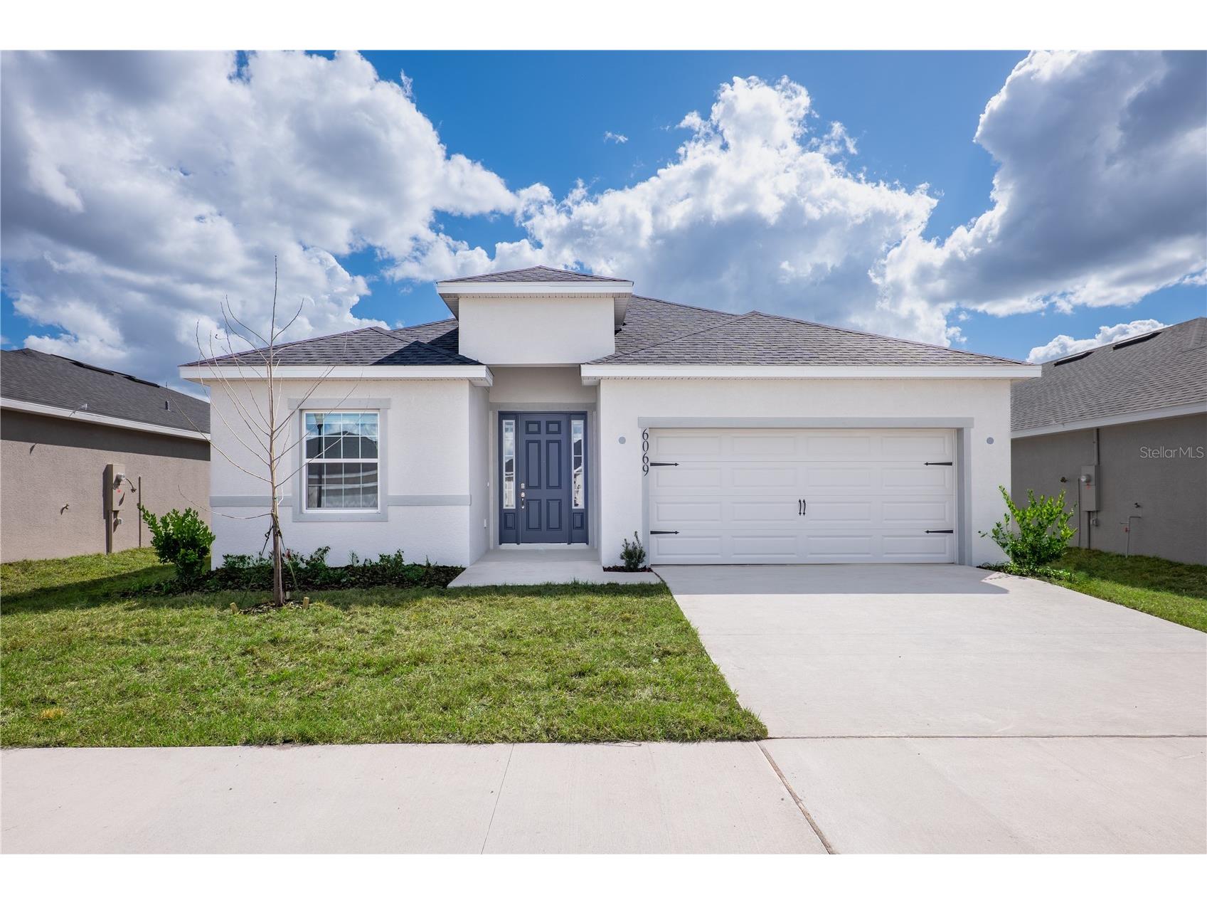 6069 Dropwort Drive Wimauma FL 33598 L4961078 image1