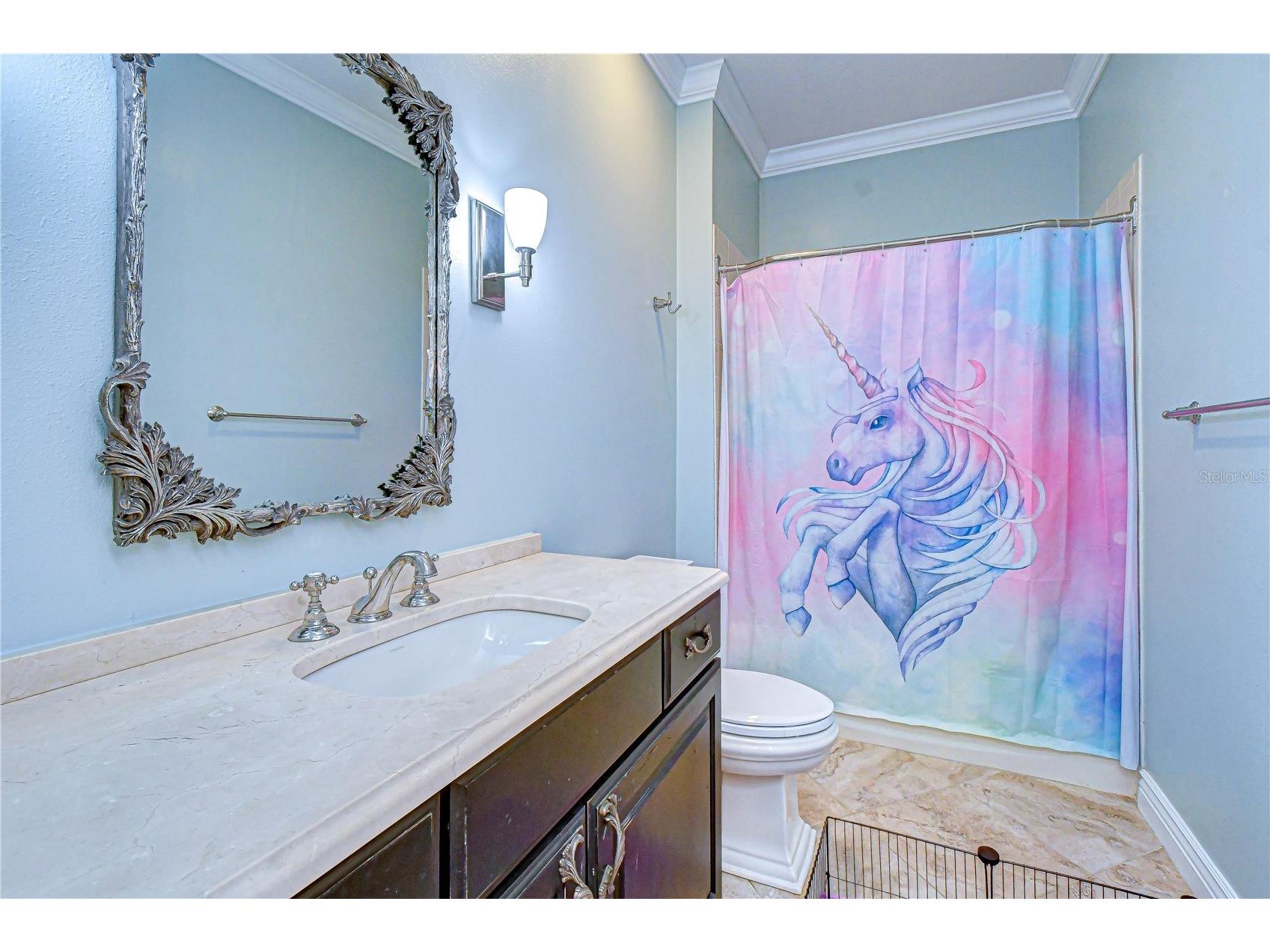 6069 Sandhill Ridge Drive Lithia FL 33547 TB8506396 image23