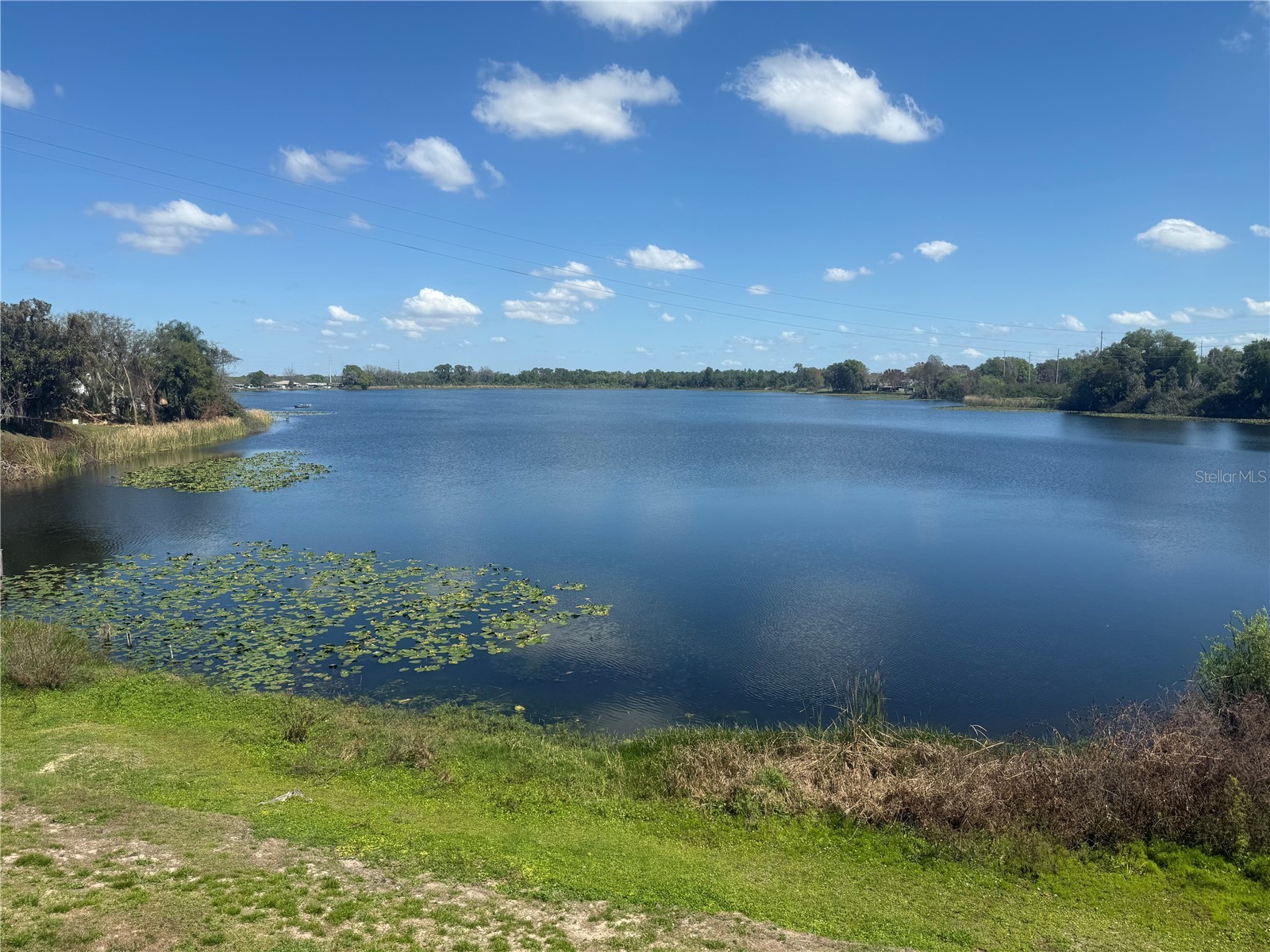 607 Country Lane NE #607 Winter Haven FL 33881 - LAKE BUCKEYE P4938221 image22