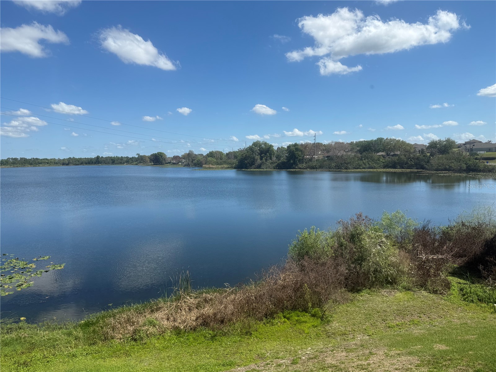607 Country Lane NE #607 Winter Haven FL 33881 - LAKE BUCKEYE P4938221 image23