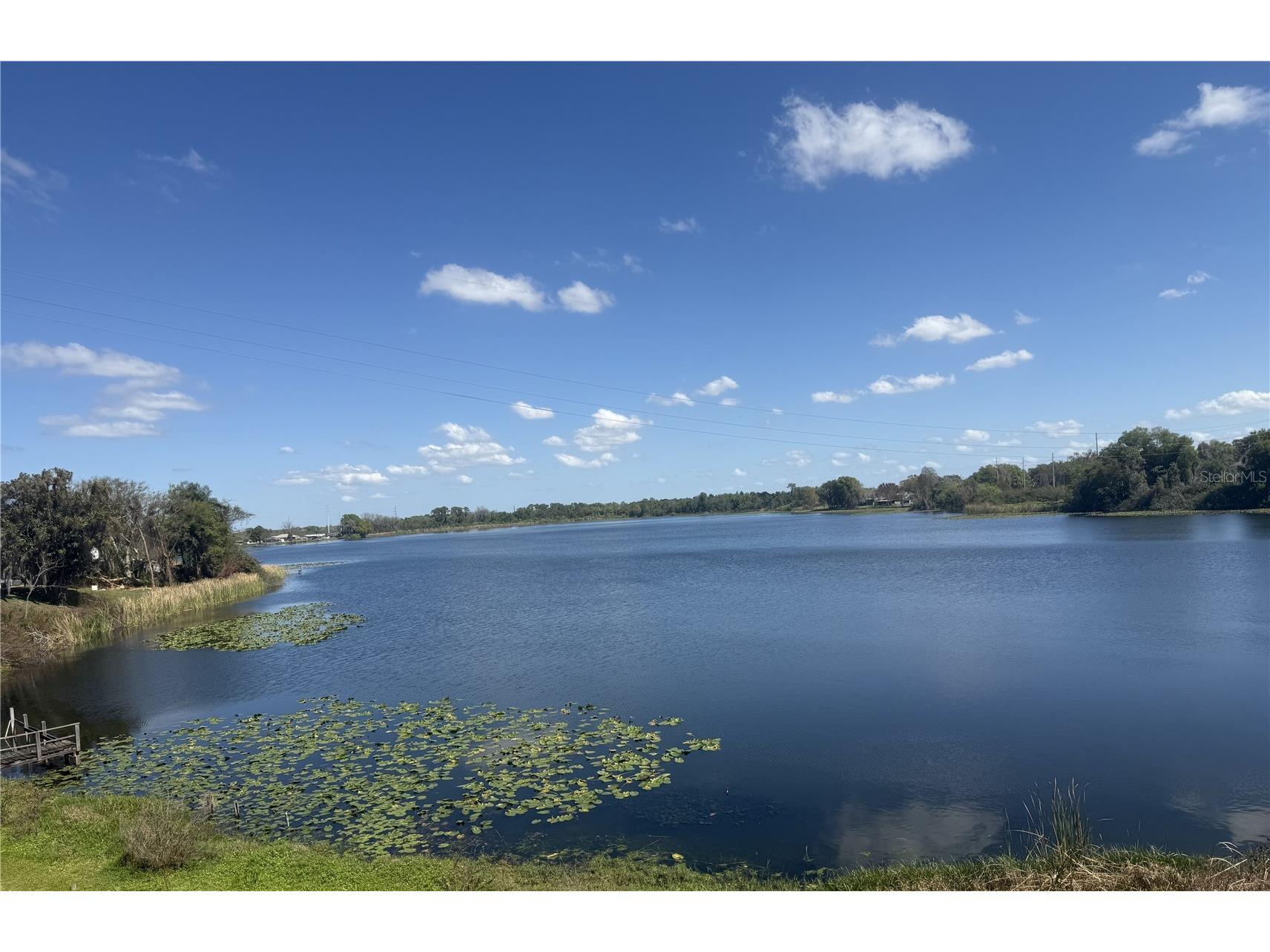 607 Country Lane NE #607 Winter Haven FL 33881 - LAKE BUCKEYE P4938221 image3