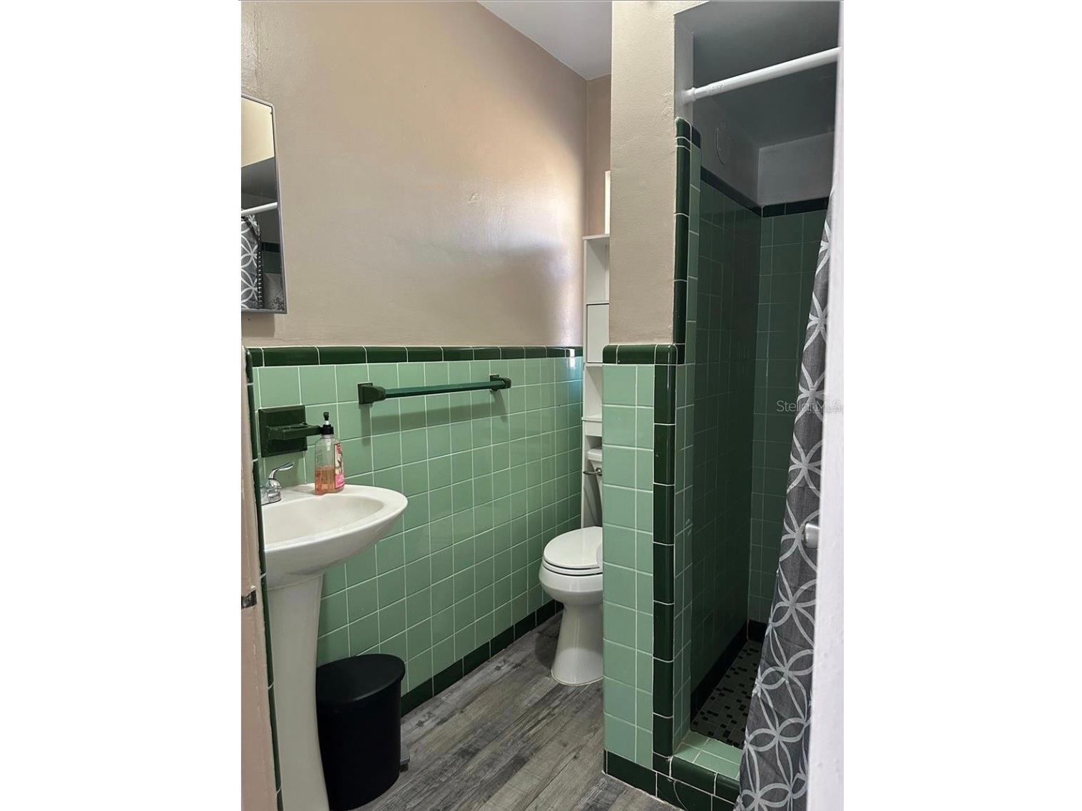 607 E Johns Avenue Mount Dora FL 32757 G5109492 image6