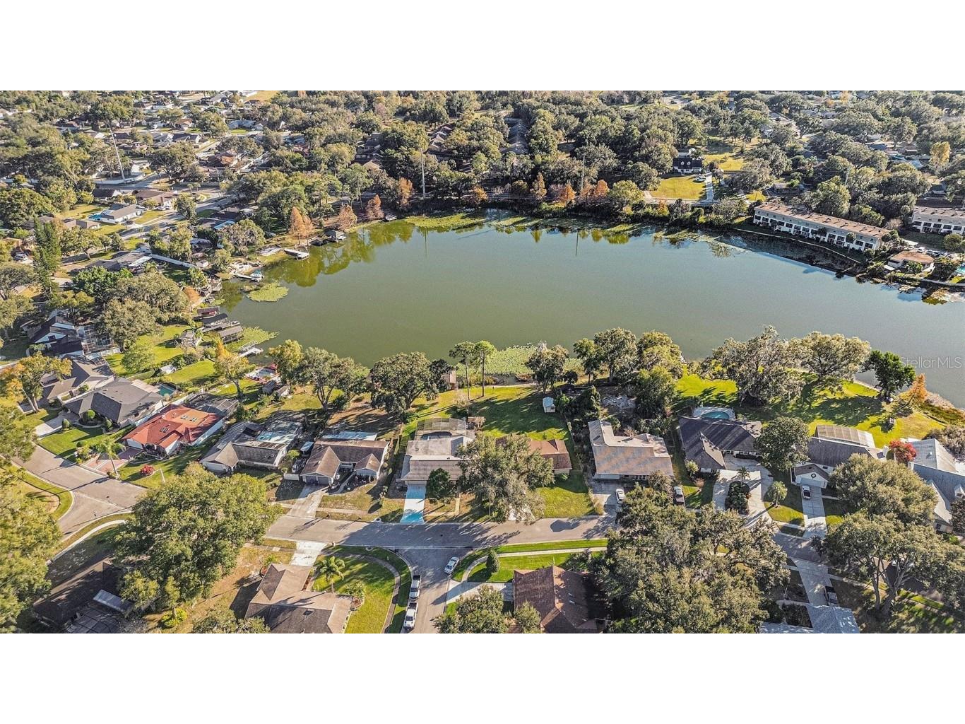 607 E Lakeshore Drive Ocoee FL 34761 - LAKE PRIMA VISTA TB8459276 image2