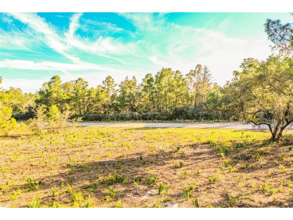 607 Edward Street Frostproof FL 33843 L4927332 image1