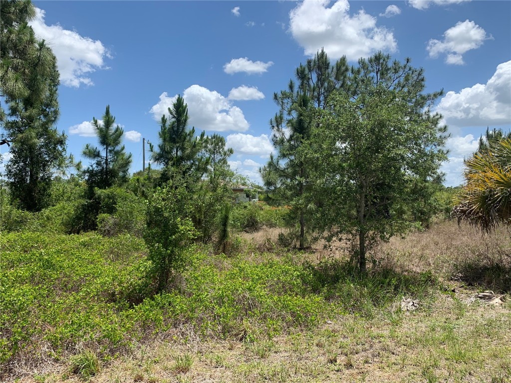 607 Eisenhower Boulevard Lehigh Acres FL 33974 A4582843 image1