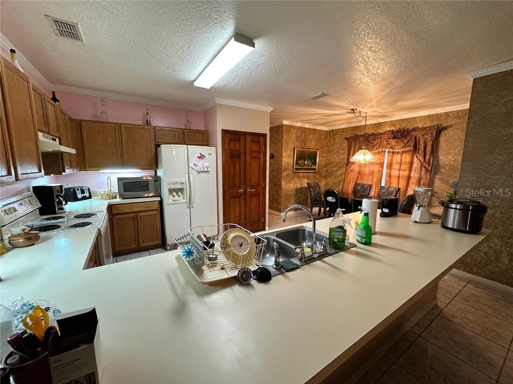 607 Gaul Way Kissimmee FL 34759 S5138893 image10