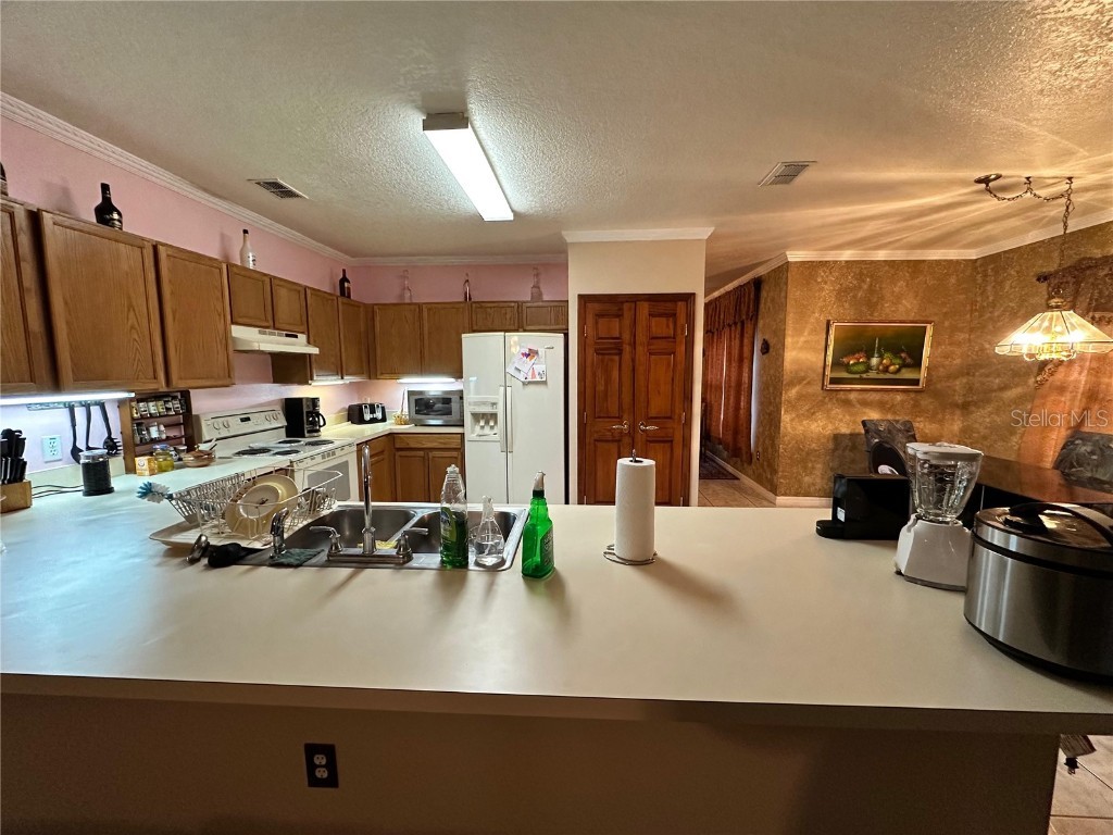 607 Gaul Way Kissimmee FL 34759 S5138893 image8