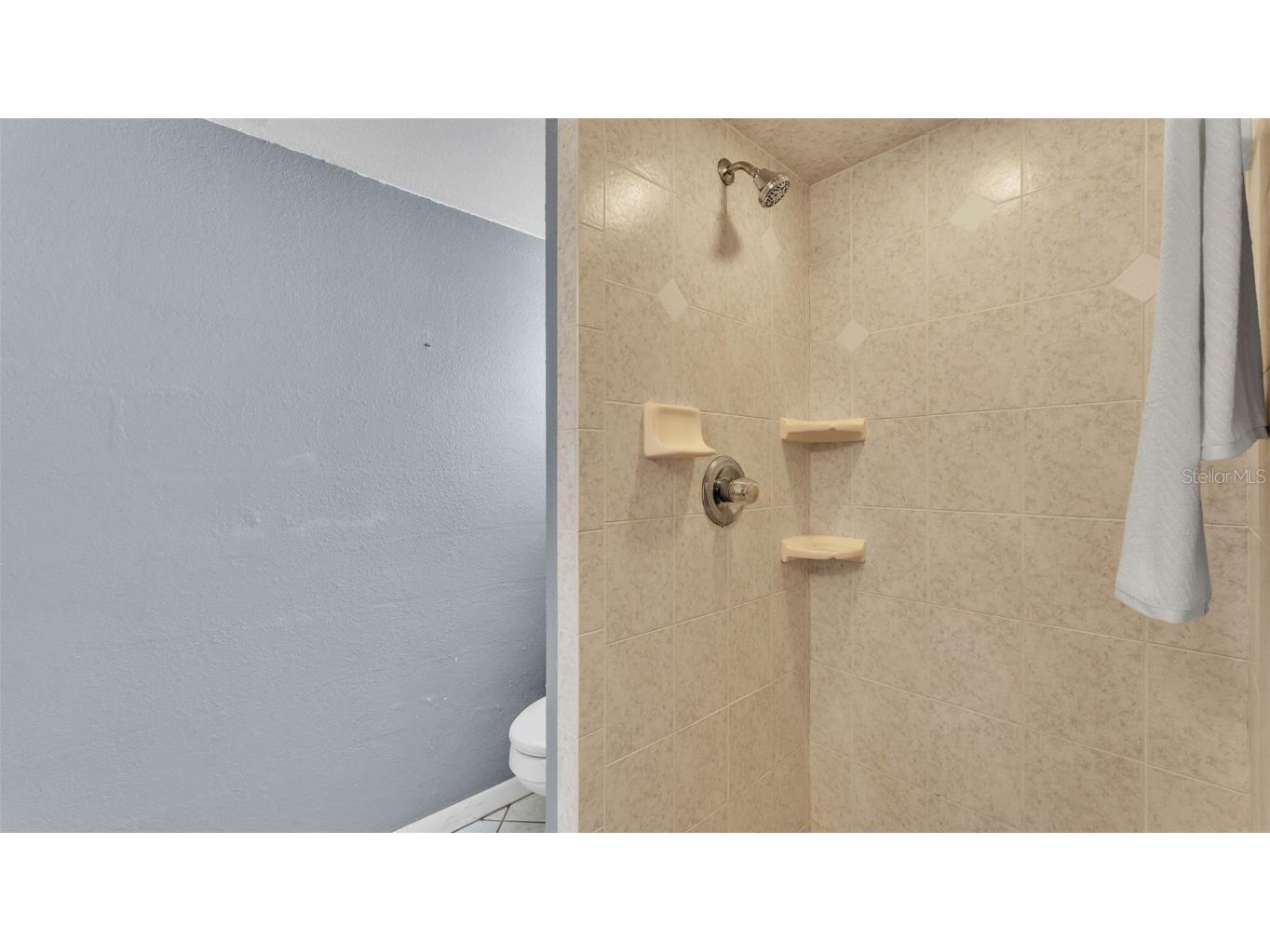 607 N Merrin Street Plant City FL 33563 L4953149 image50