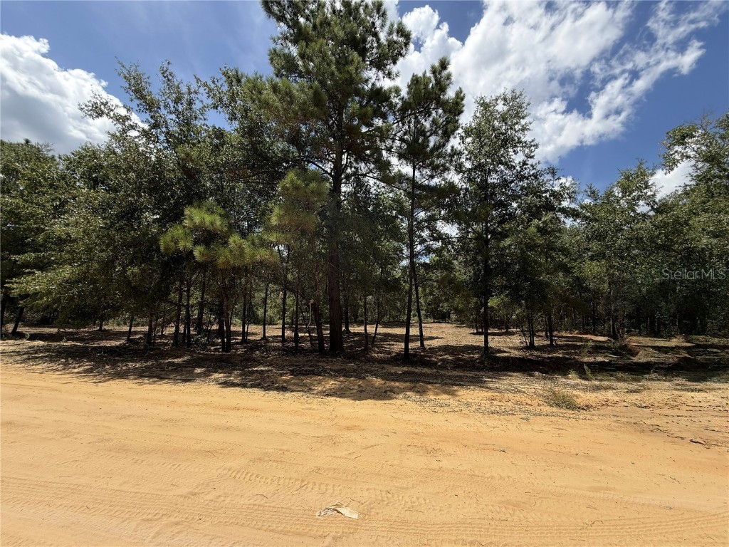 607 Stuart Avenue Interlachen FL 32148 O6340820 image2