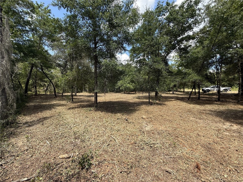 607 Stuart Avenue Interlachen FL 32148 O6340820 image4