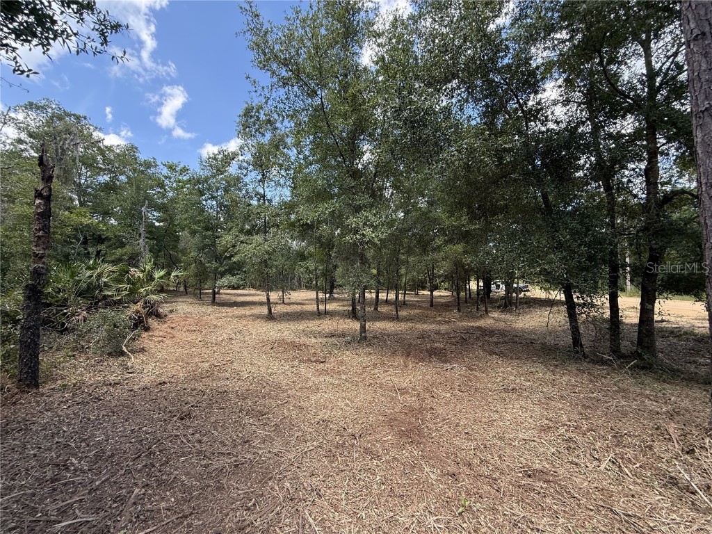 607 Stuart Avenue Interlachen FL 32148 O6340820 image6