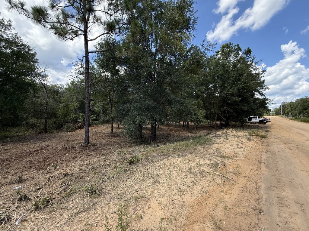 607 Stuart Avenue Interlachen FL 32148 O6340820 image7