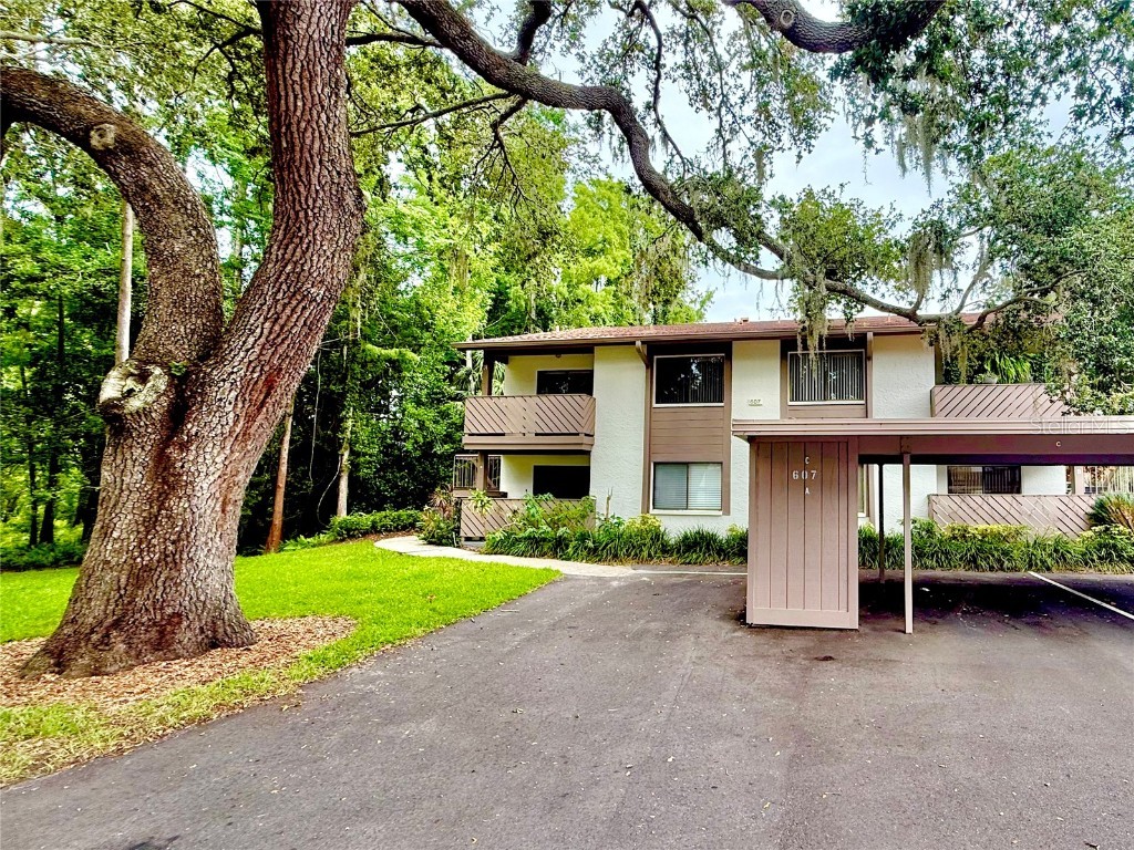 607 Summerhill Court #C Safety Harbor FL 34695 TB8408477 image1