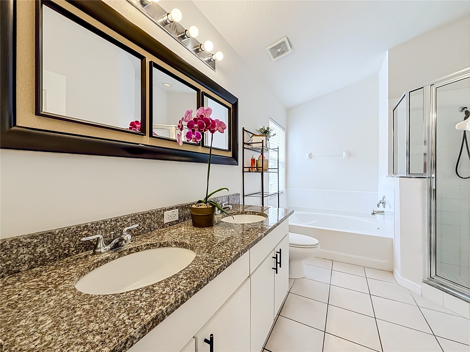 607 Sunset Beach Court Valrico FL 33594 TB8529736 image53
