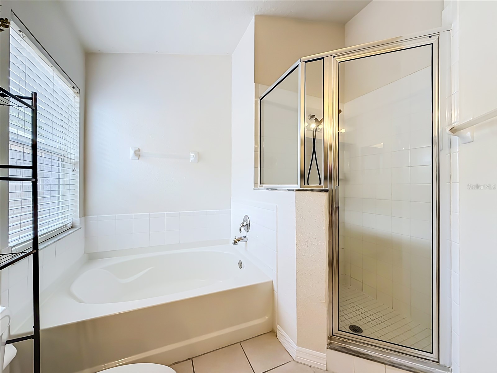 607 Sunset Beach Court Valrico FL 33594 TB8529736 image54