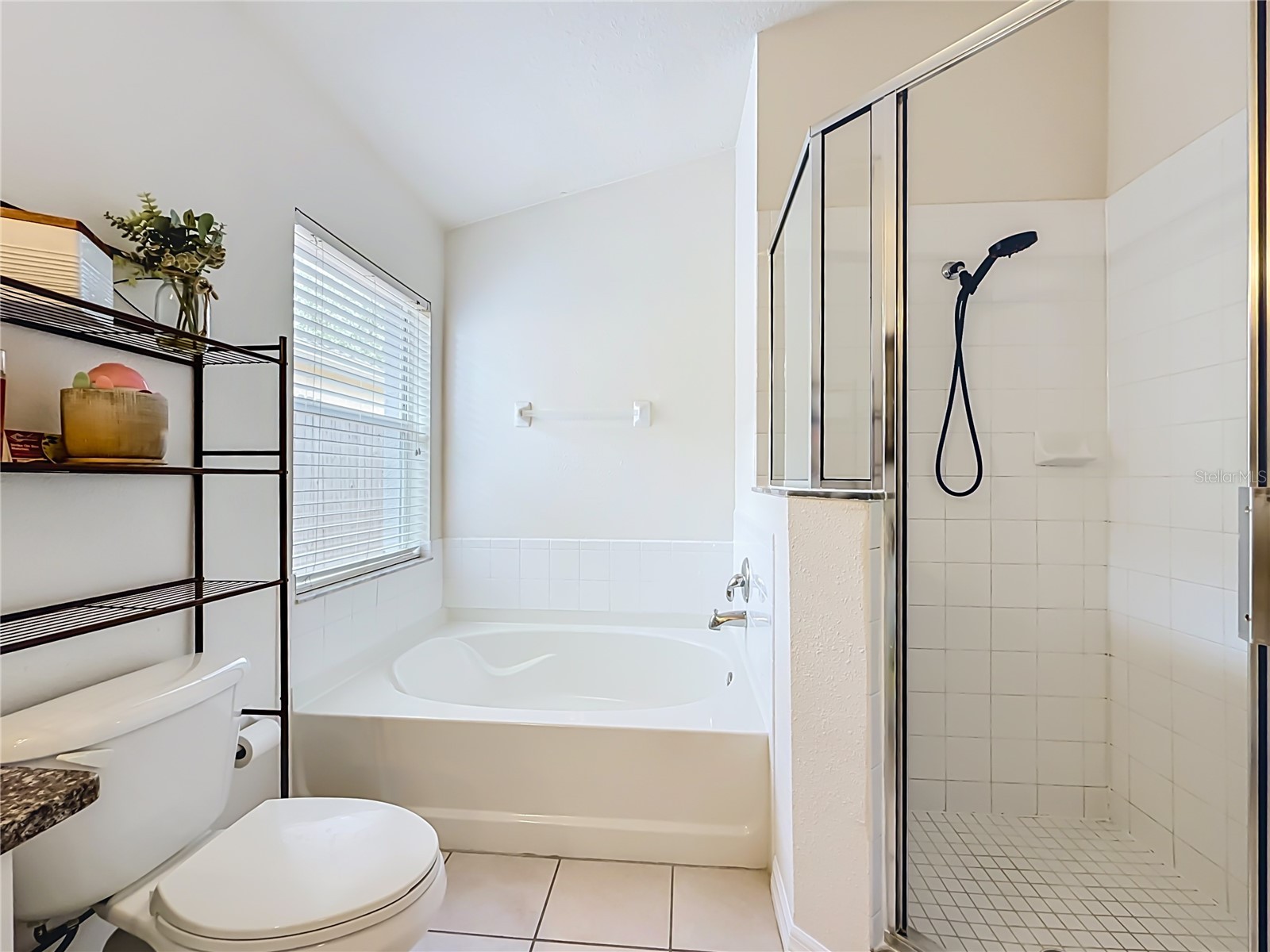 607 Sunset Beach Court Valrico FL 33594 TB8529736 image56