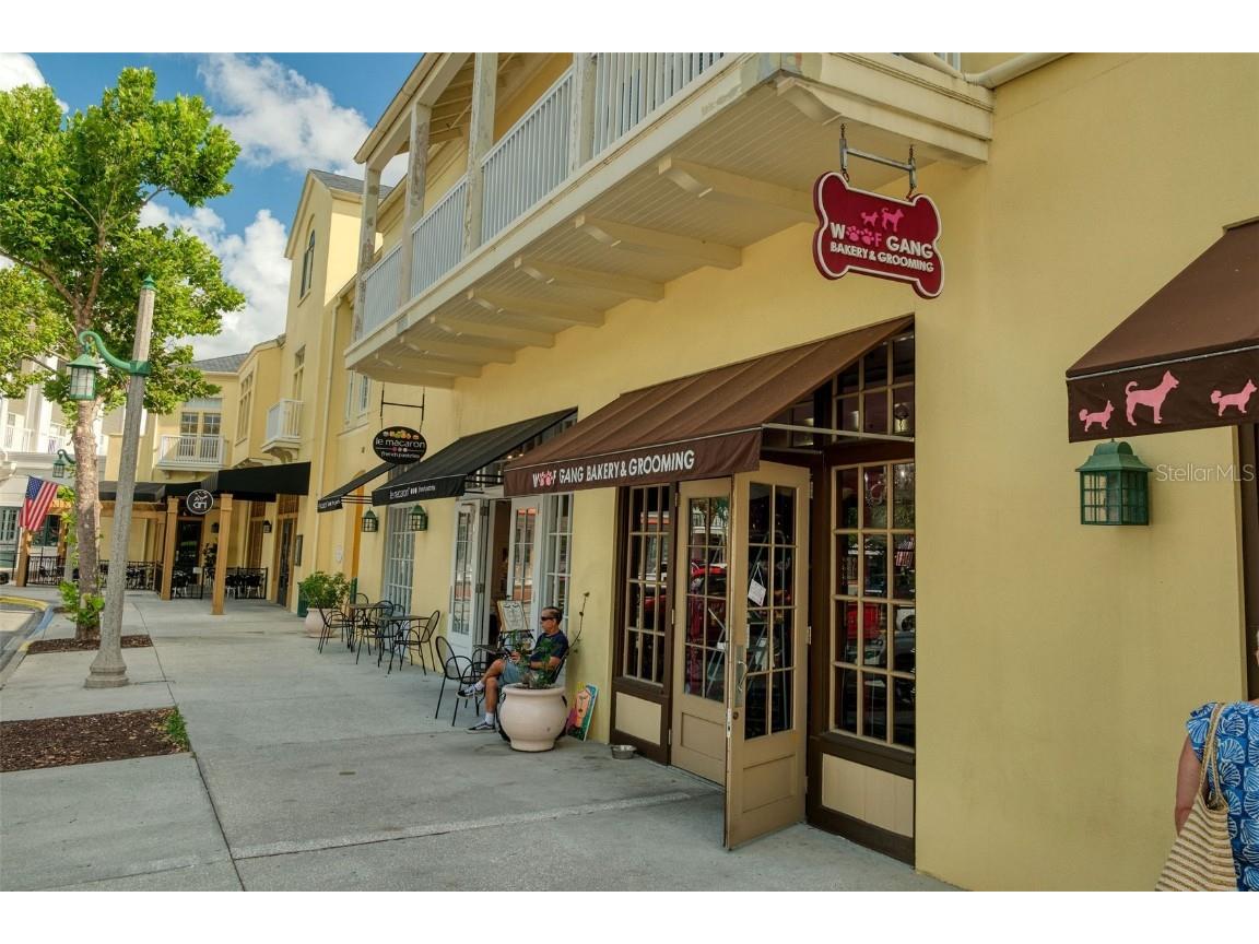 607 Teal Avenue Celebration FL 34747 S5133665 image59