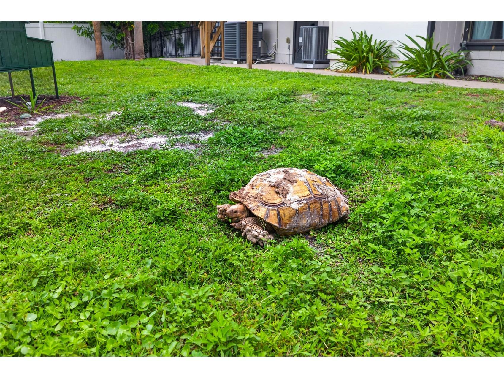 6070 66th Avenue N Pinellas Park FL 33781 TB8516114 image44