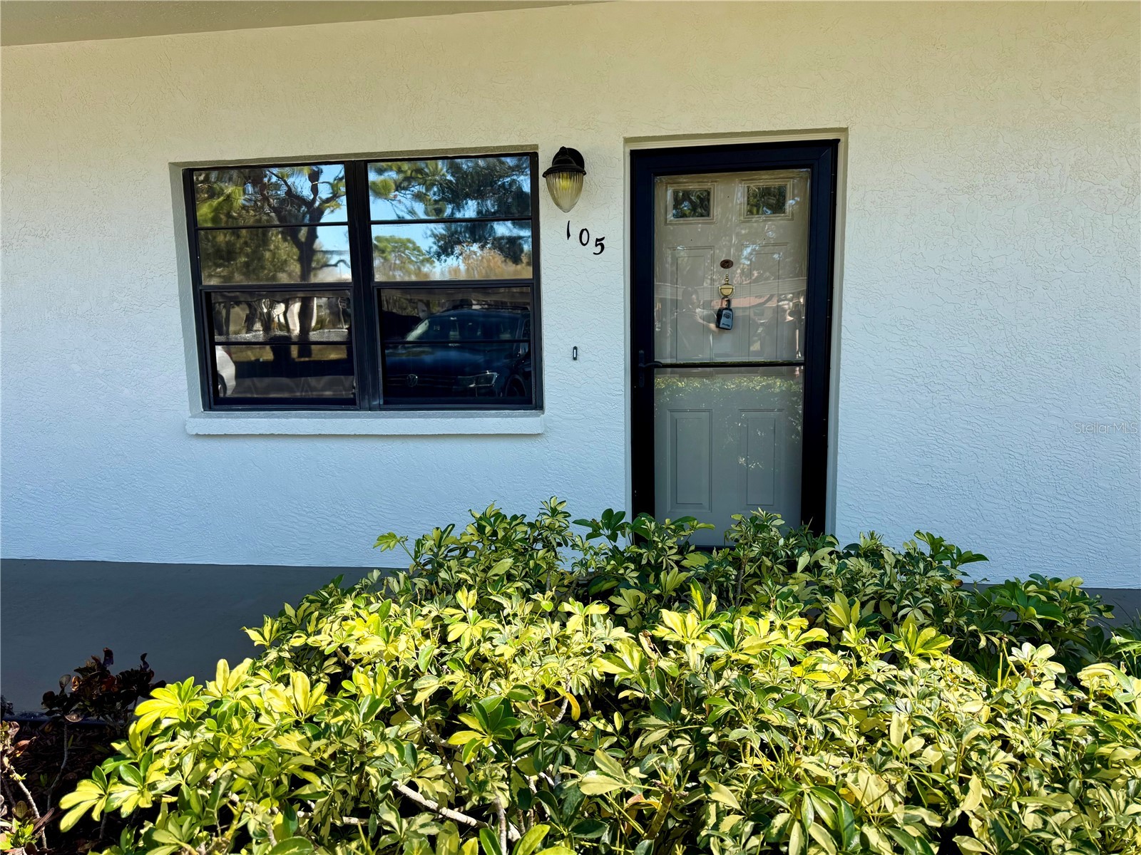 6070 80th Street N #105 Saint Petersburg FL 33709 A4683361 image1