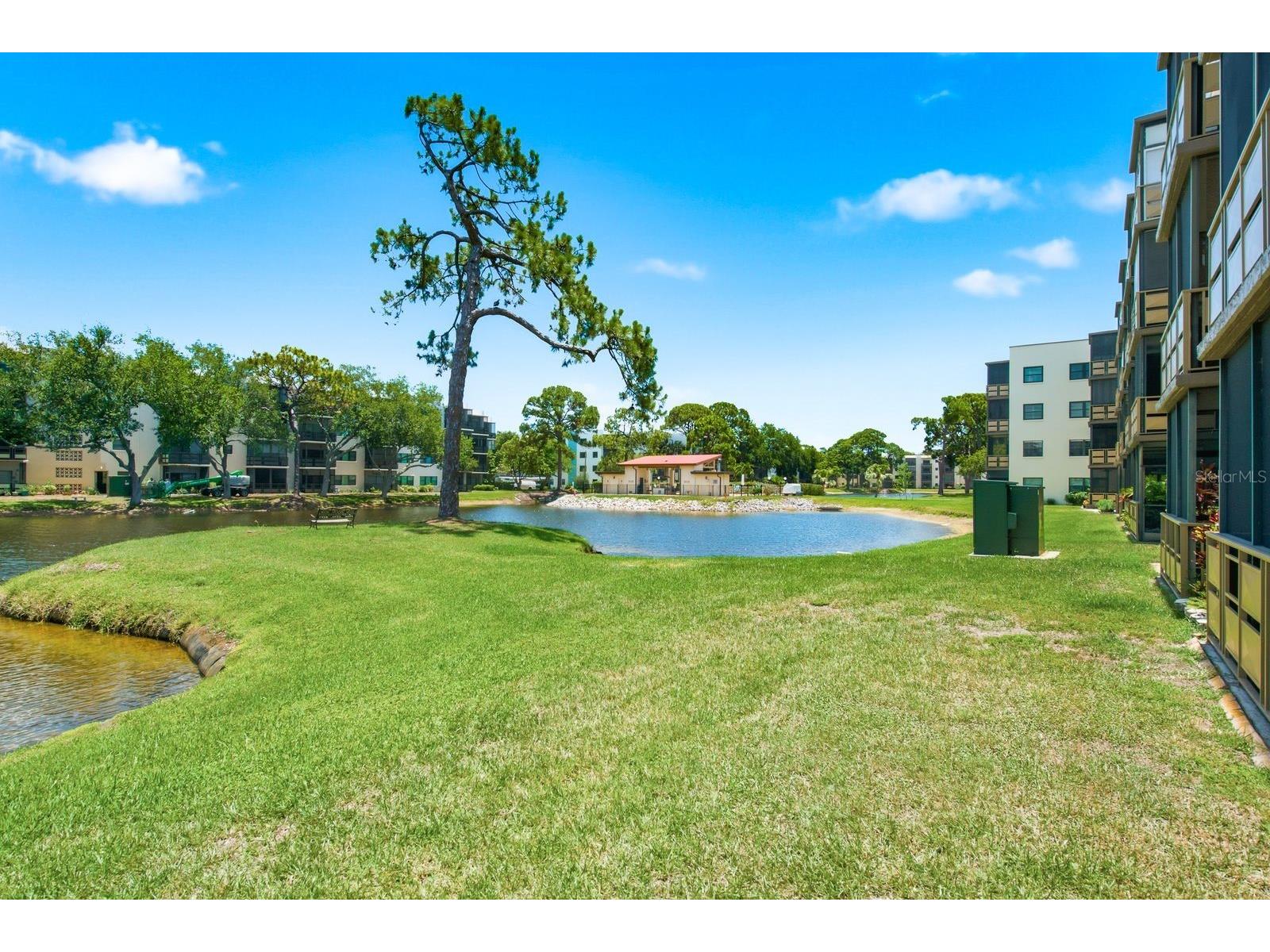 6070 80th Street N #109 Saint Petersburg FL 33709 TB8520368 image33