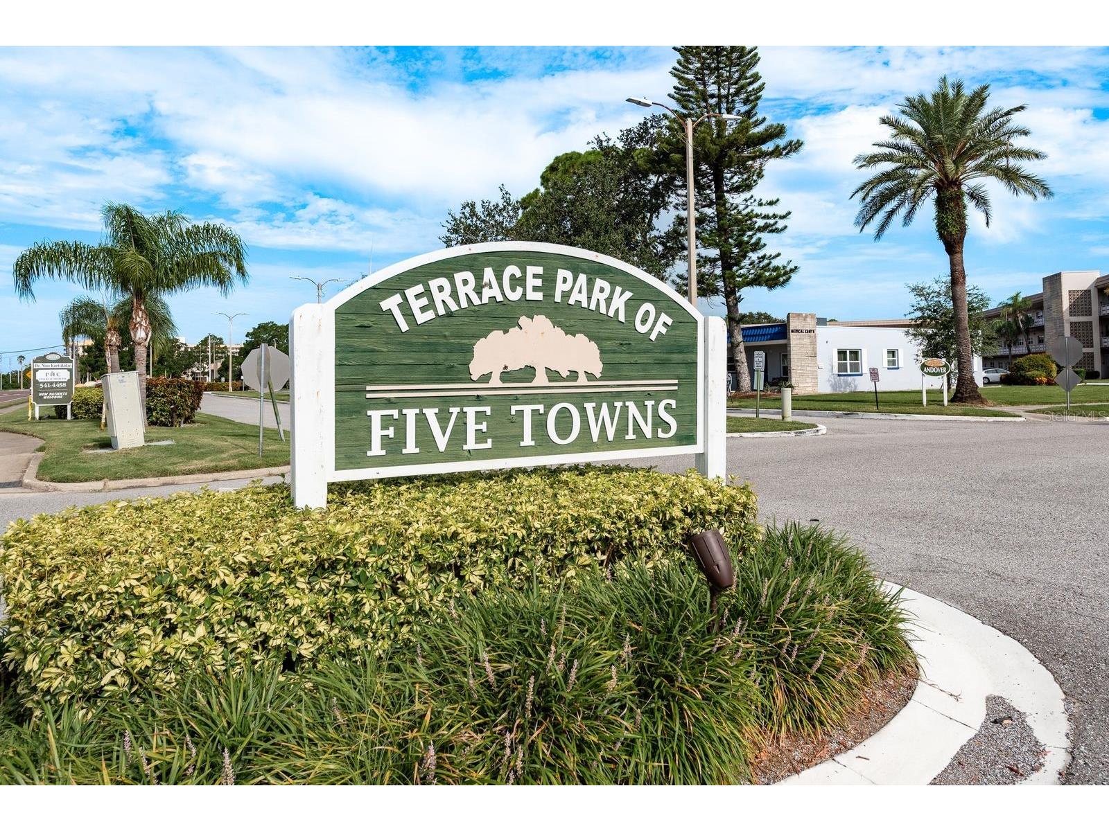 6070 80th Street N #109 Saint Petersburg FL 33709 TB8520368 image56
