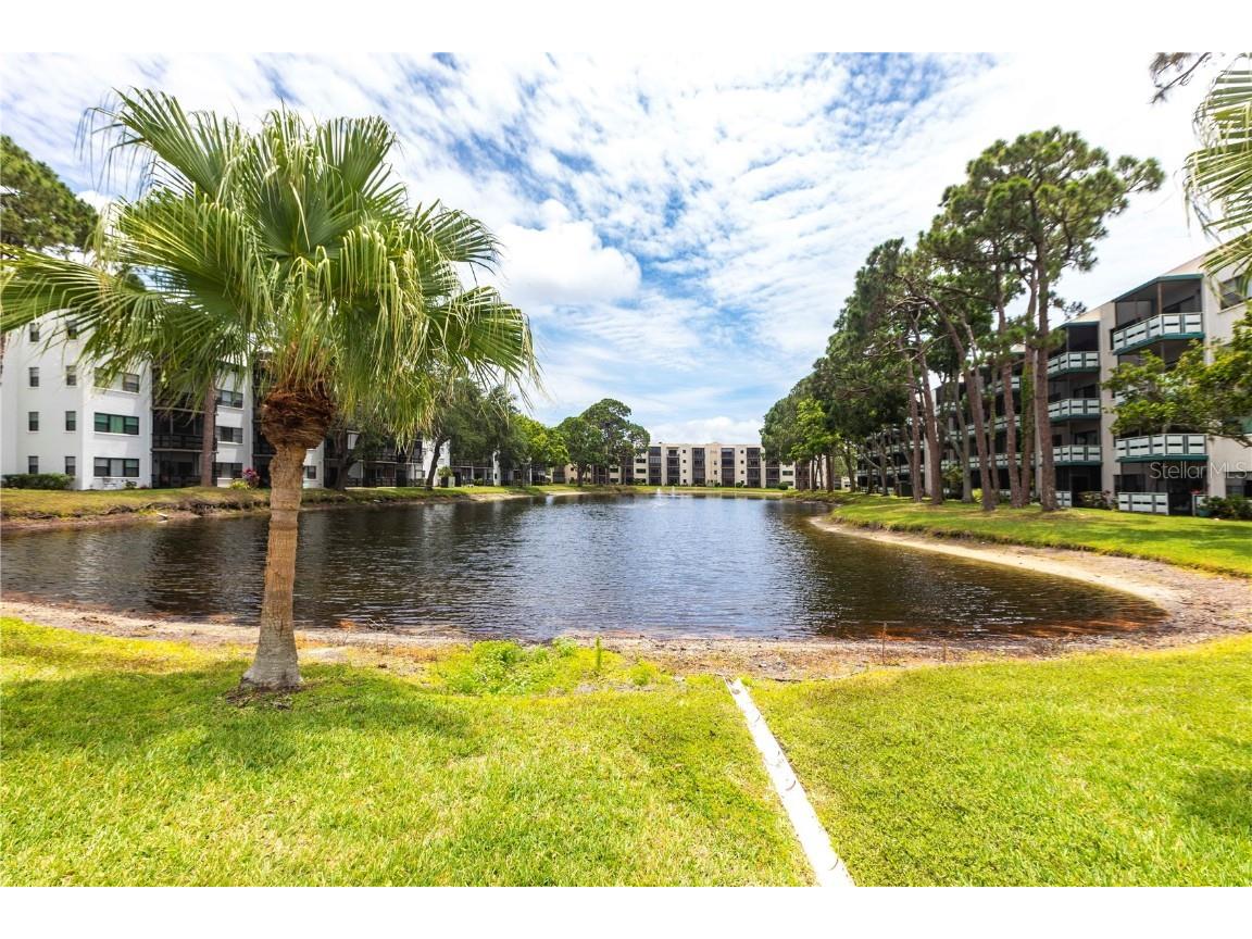 6070 80th Street N #215 Saint Petersburg FL 33709 TB8431043 image24