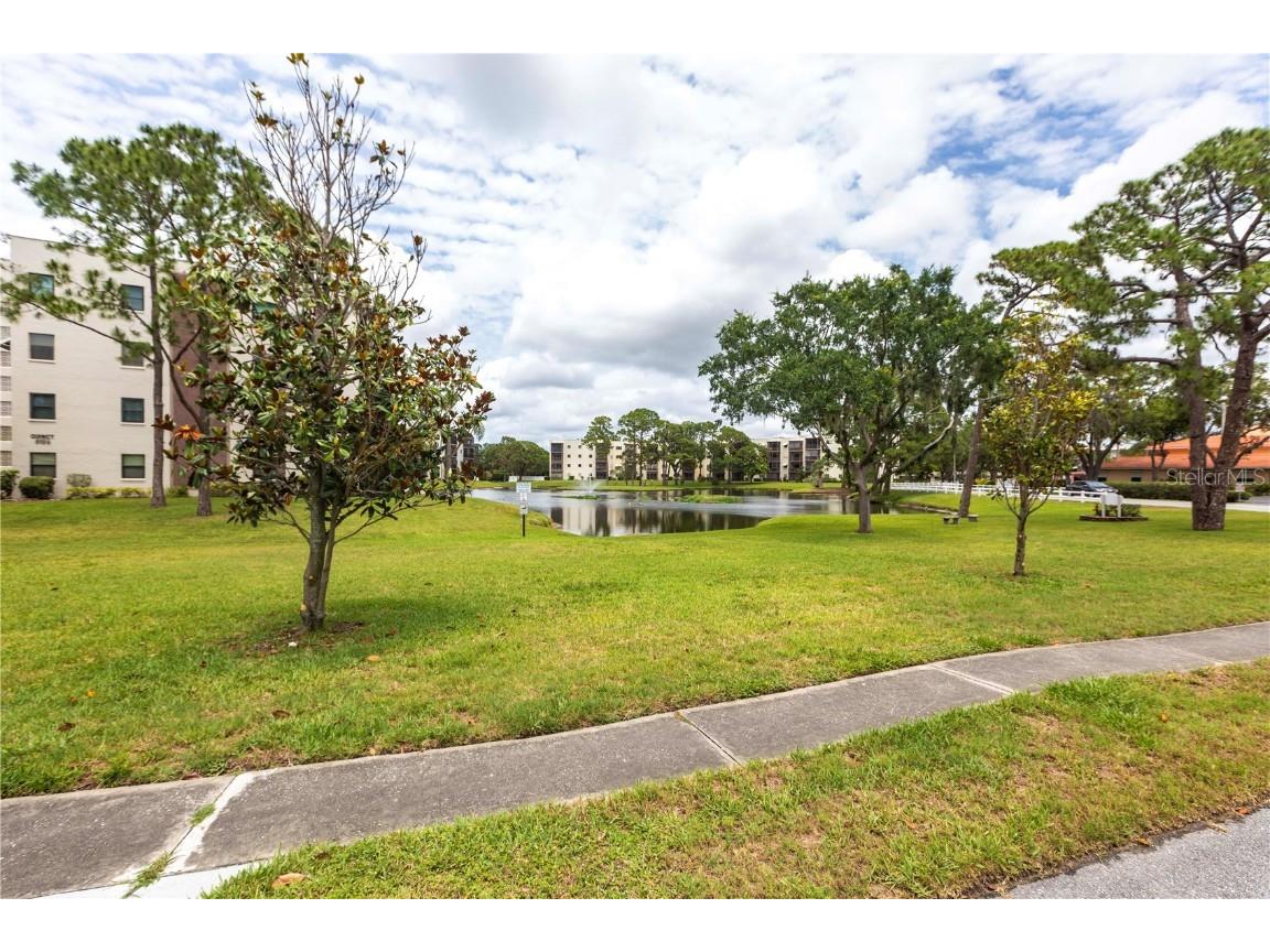 6070 80th Street N #215 Saint Petersburg FL 33709 TB8431043 image28