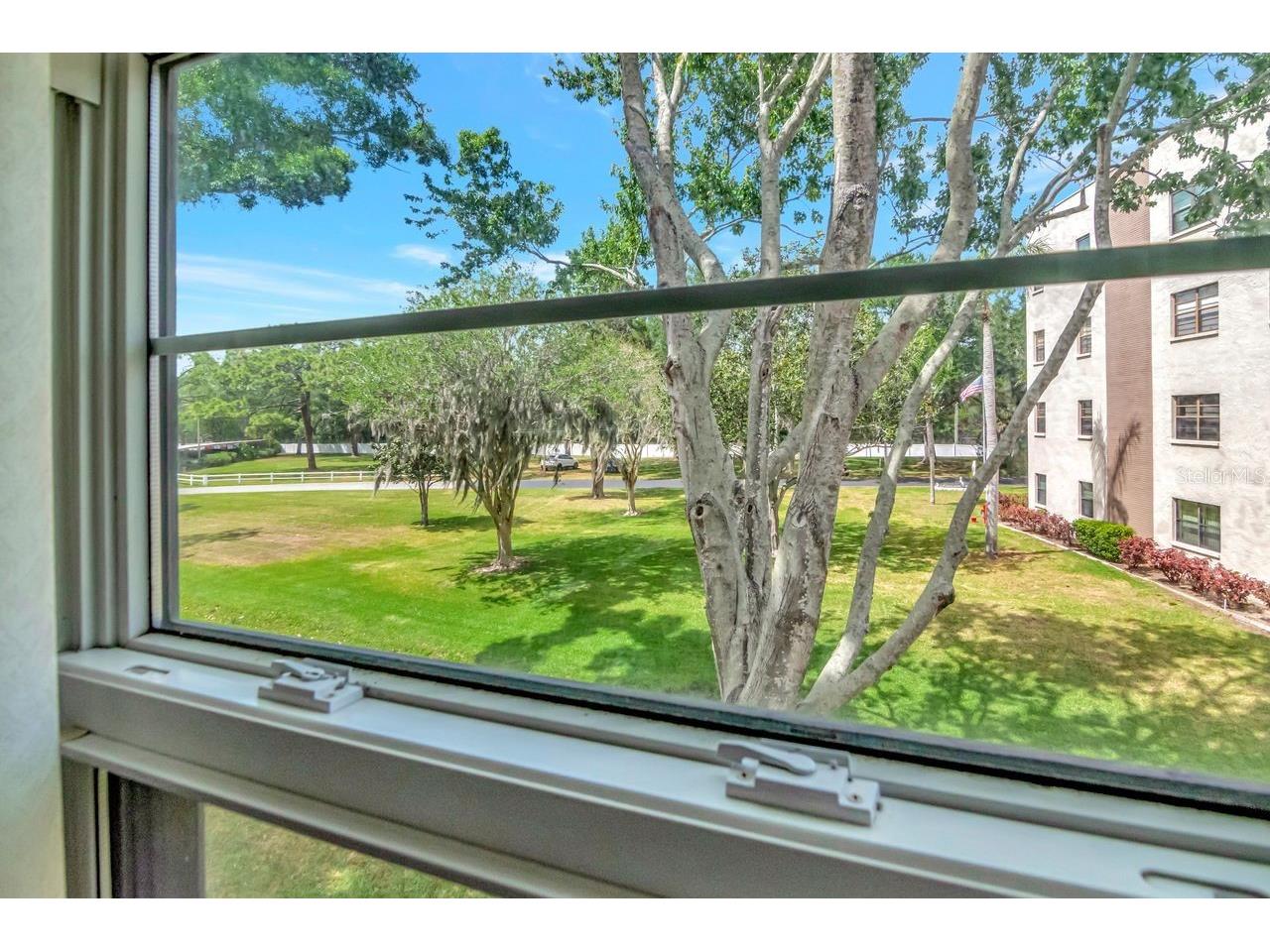 6070 80th Street N #215 Saint Petersburg FL 33709 TB8494999 image32