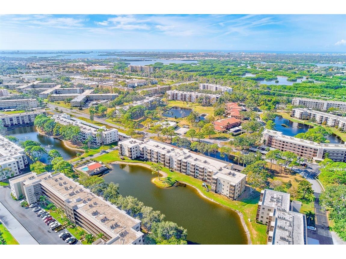 6070 80th Street N #415 Saint Petersburg FL 33709 TB8452142 image28