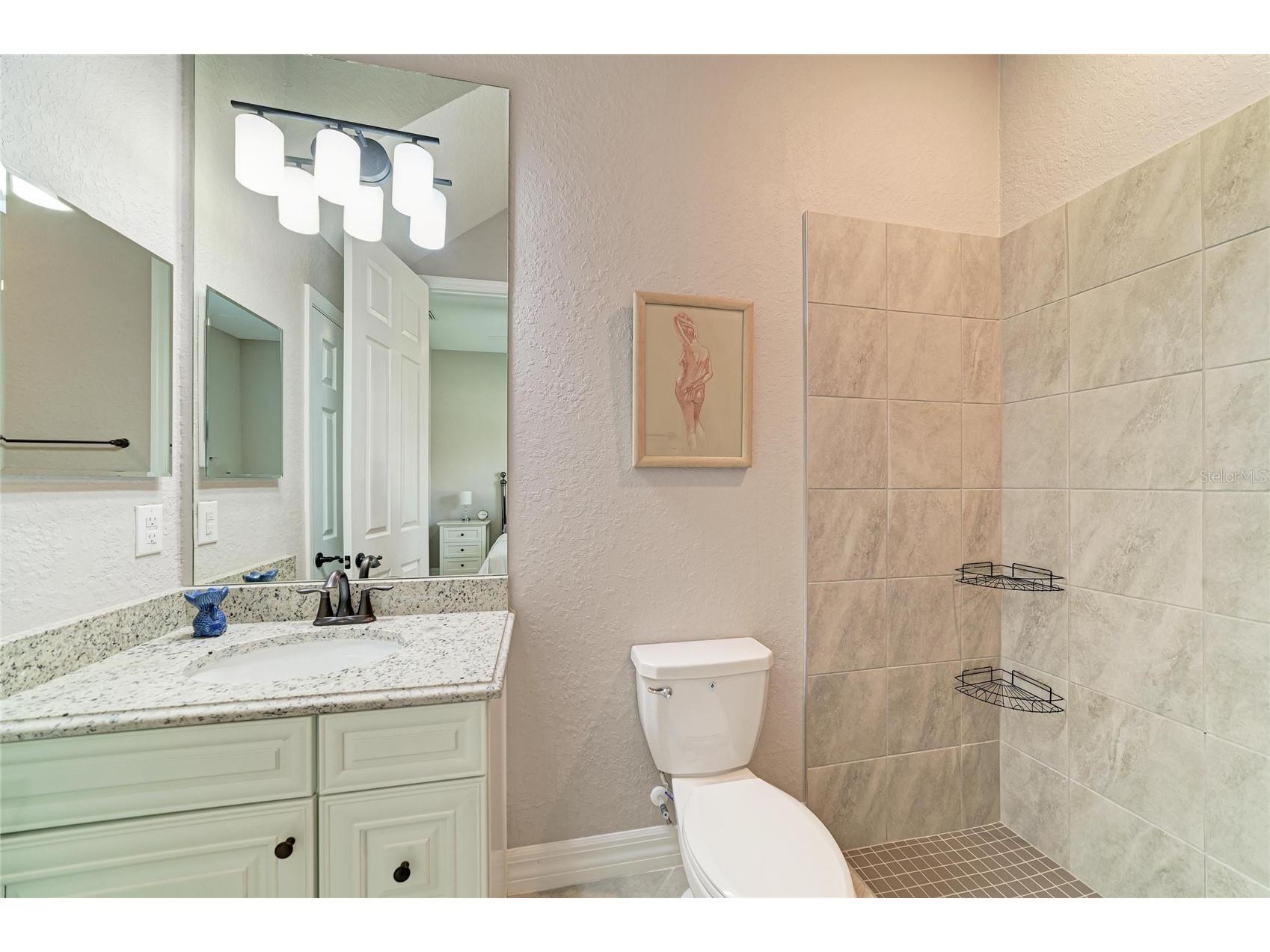 6070 Brandon Run Lakewood Ranch FL 34211 A4688065 image42