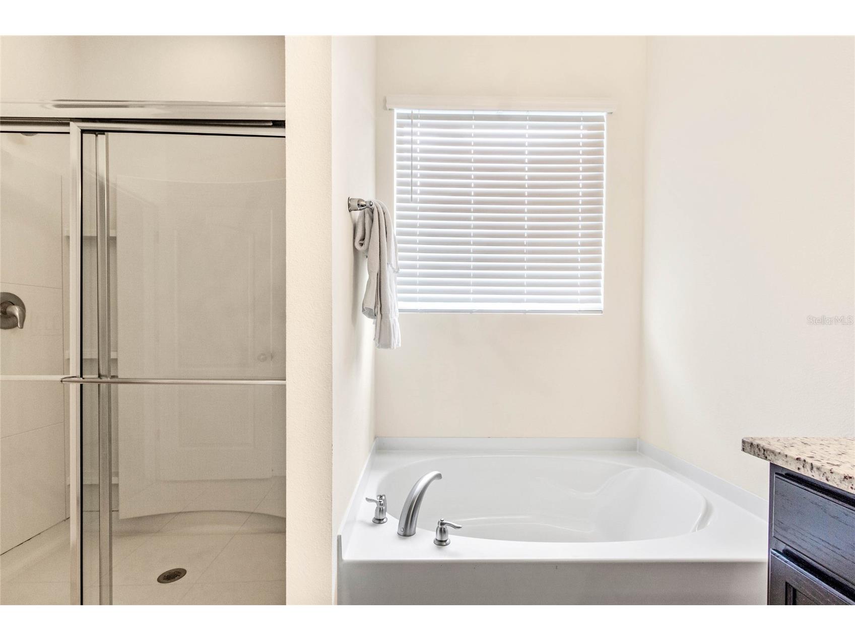 6070 Broad Oak Drive Davenport FL 33837 O6375349 image28