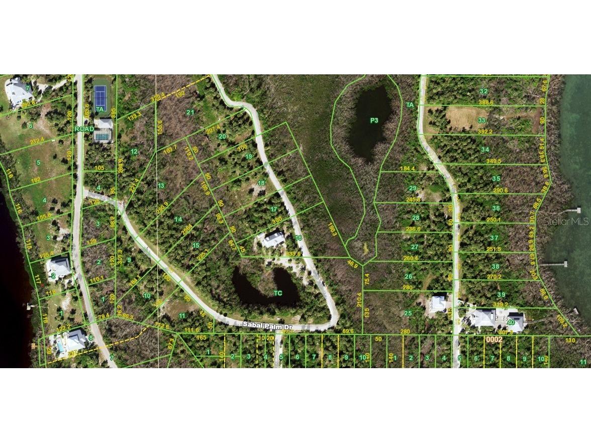 6070 Sable Palm Drive #LOT 18 Placida FL 33946 D6146218 image3