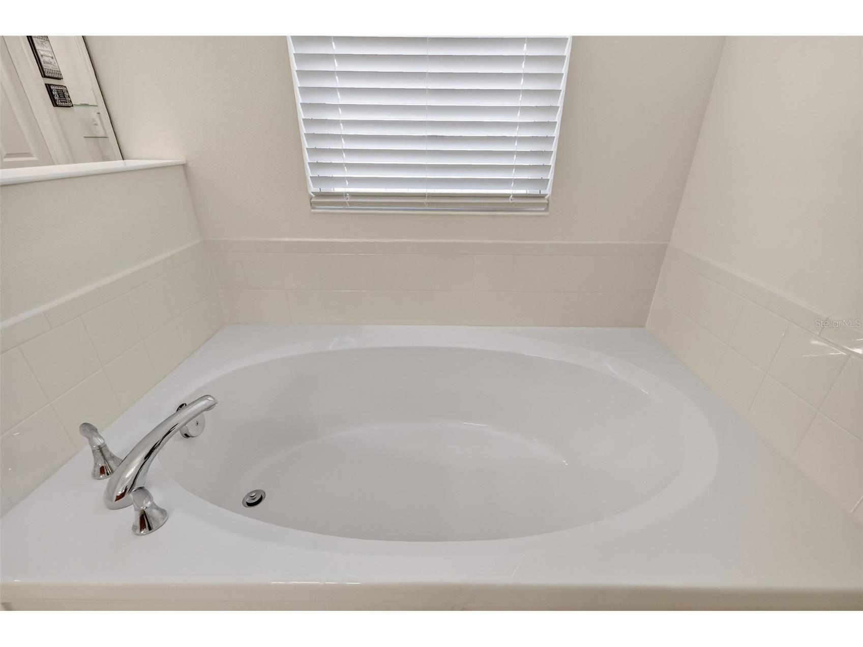 6070 Sierra Crown Street Mount Dora FL 32757 G5109941 image22