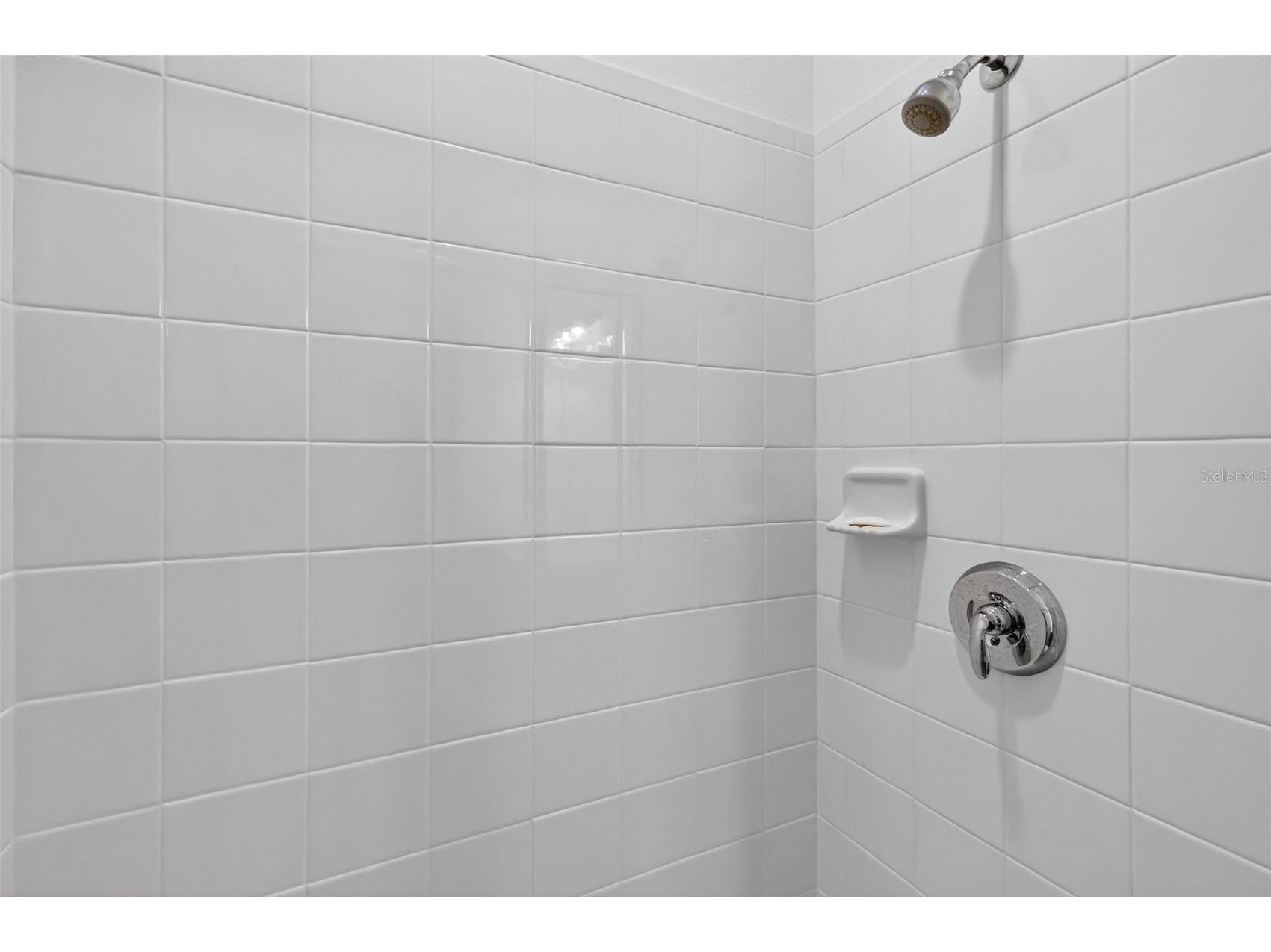 6070 Sierra Crown Street Mount Dora FL 32757 G5109941 image36