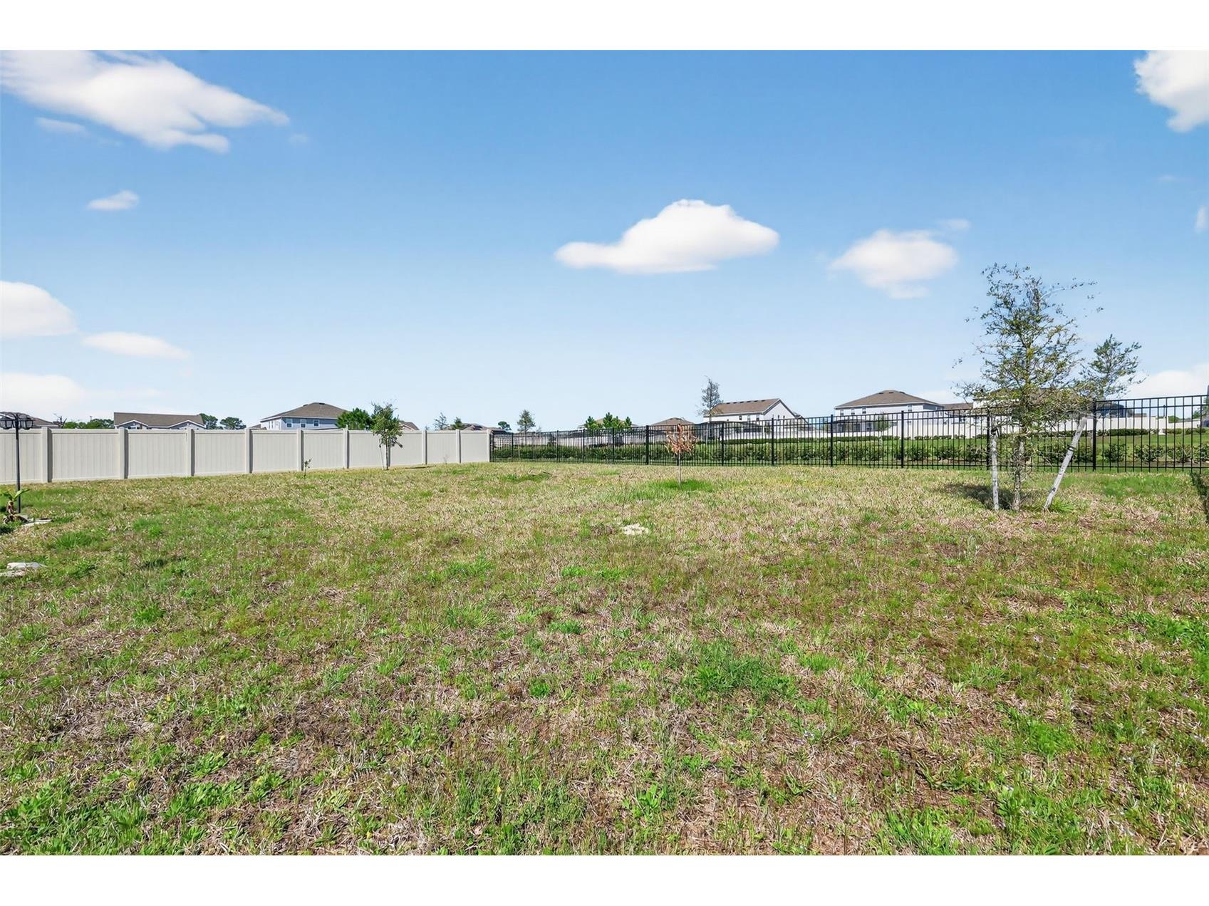 6070 Sierra Crown Street Mount Dora FL 32757 G5109941 image59